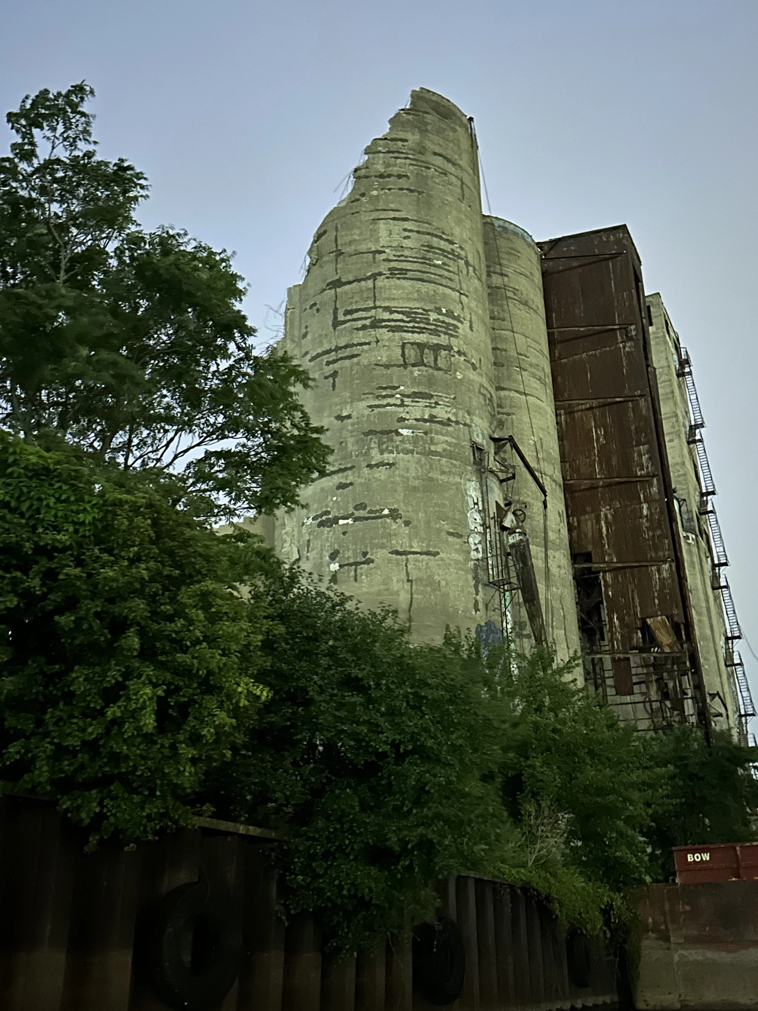 IMG_3135.jpeg