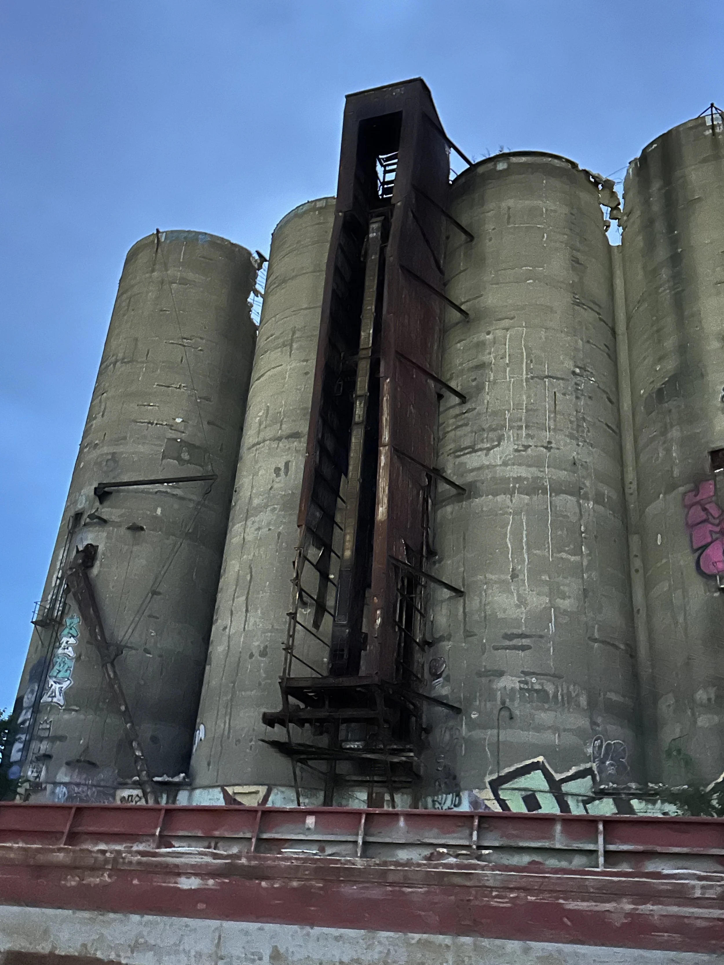 IMG_3117.jpeg