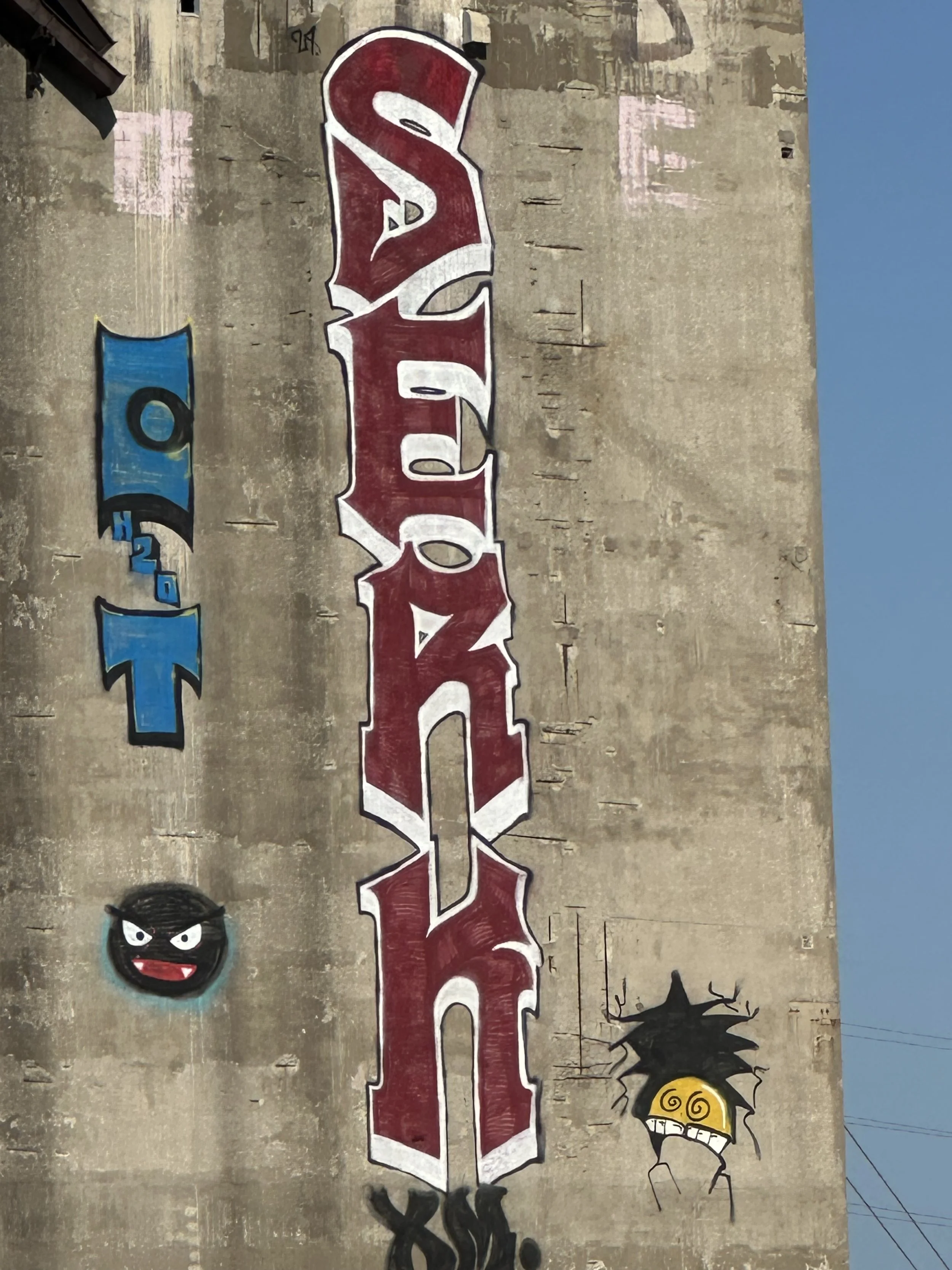 IMG_4124.jpeg