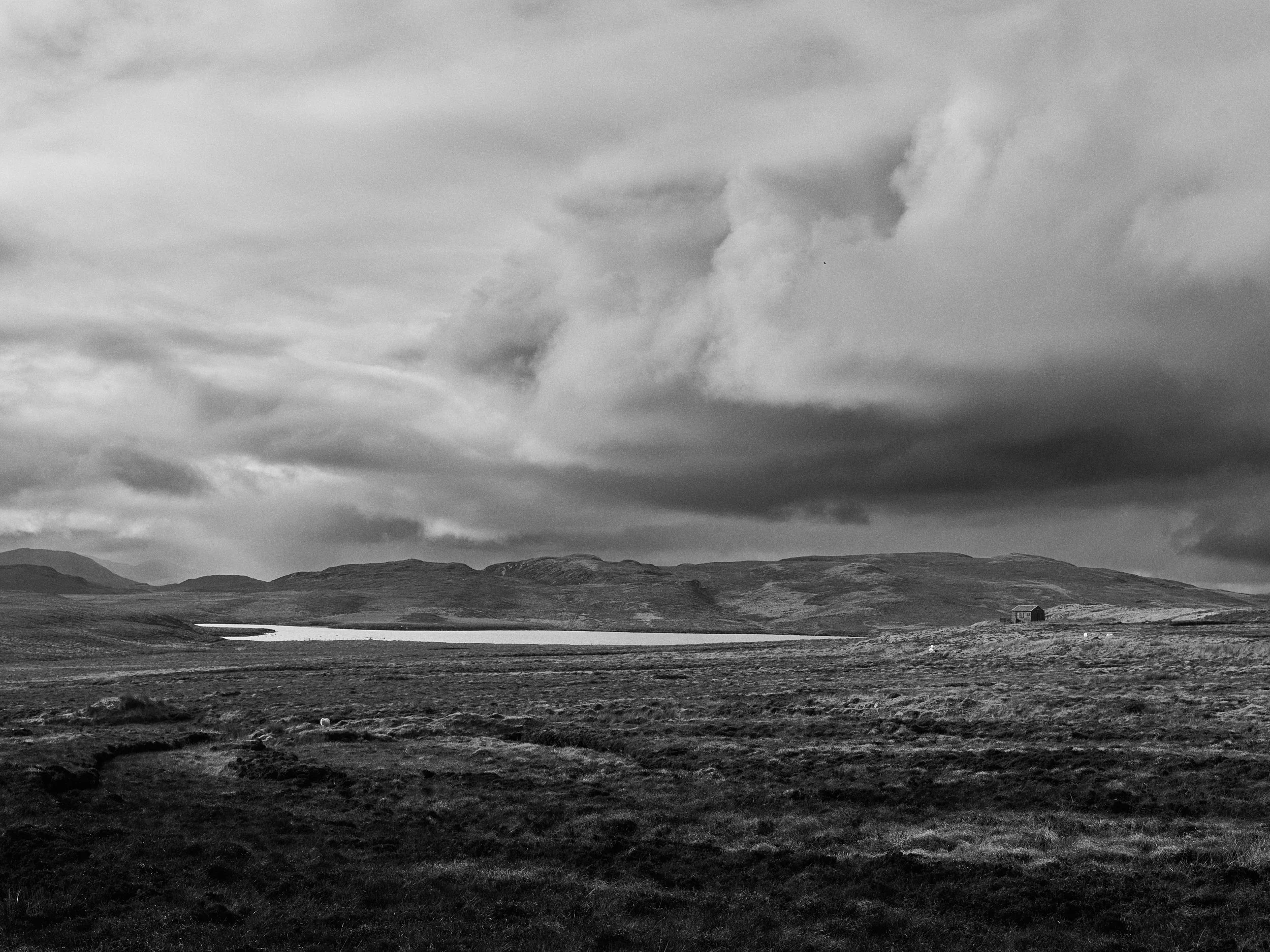 environmental landscape