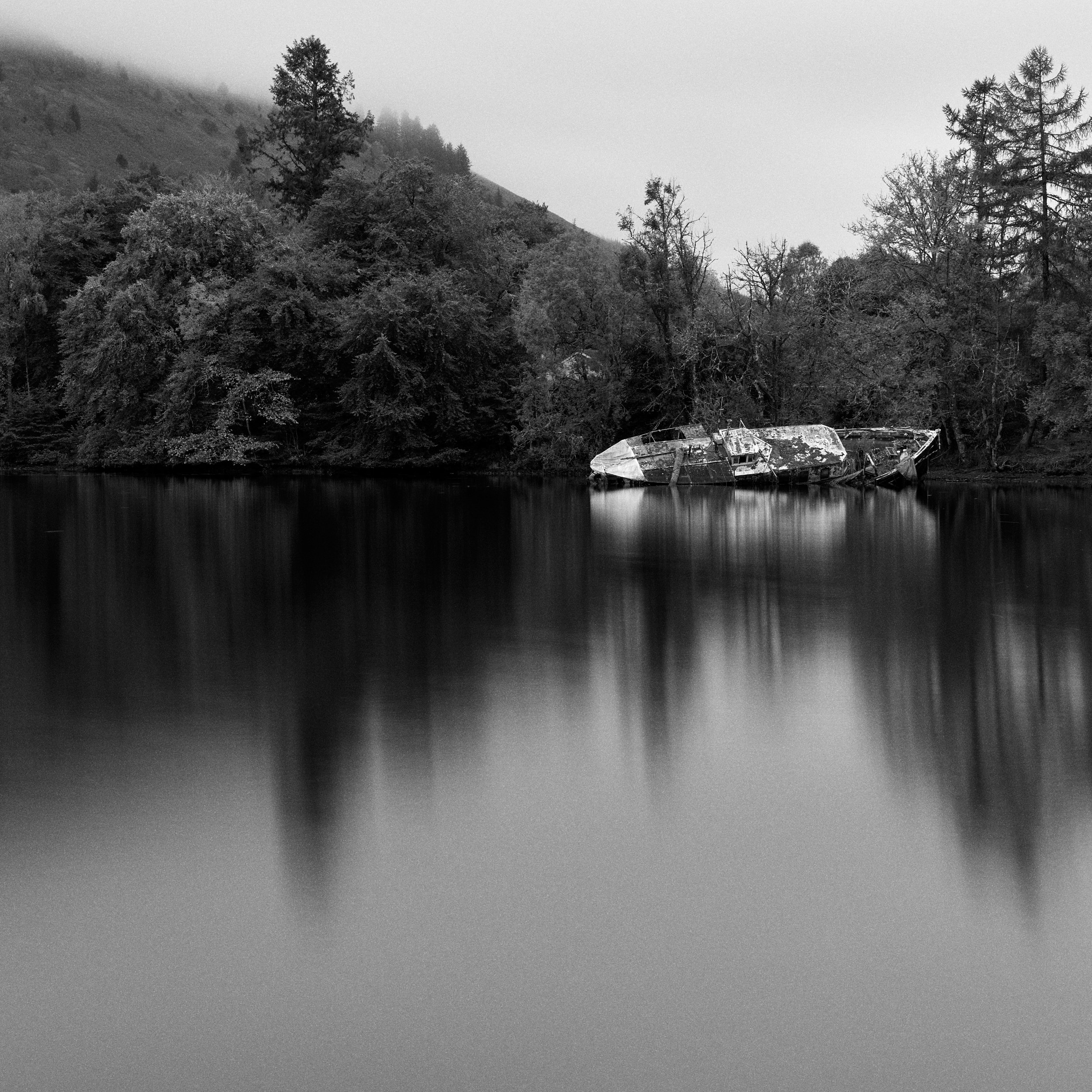 environmental landscape