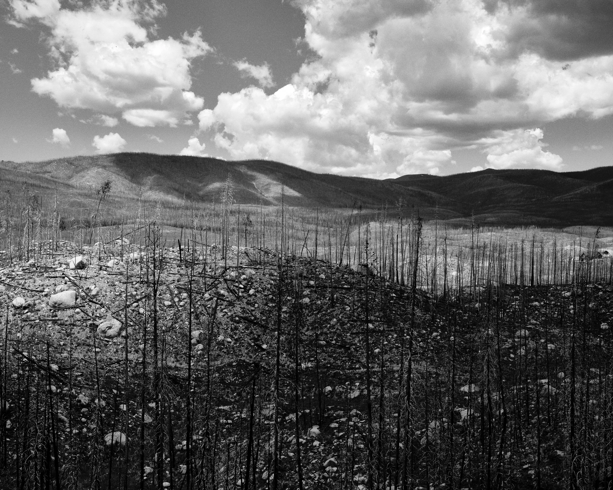 environmental landscape