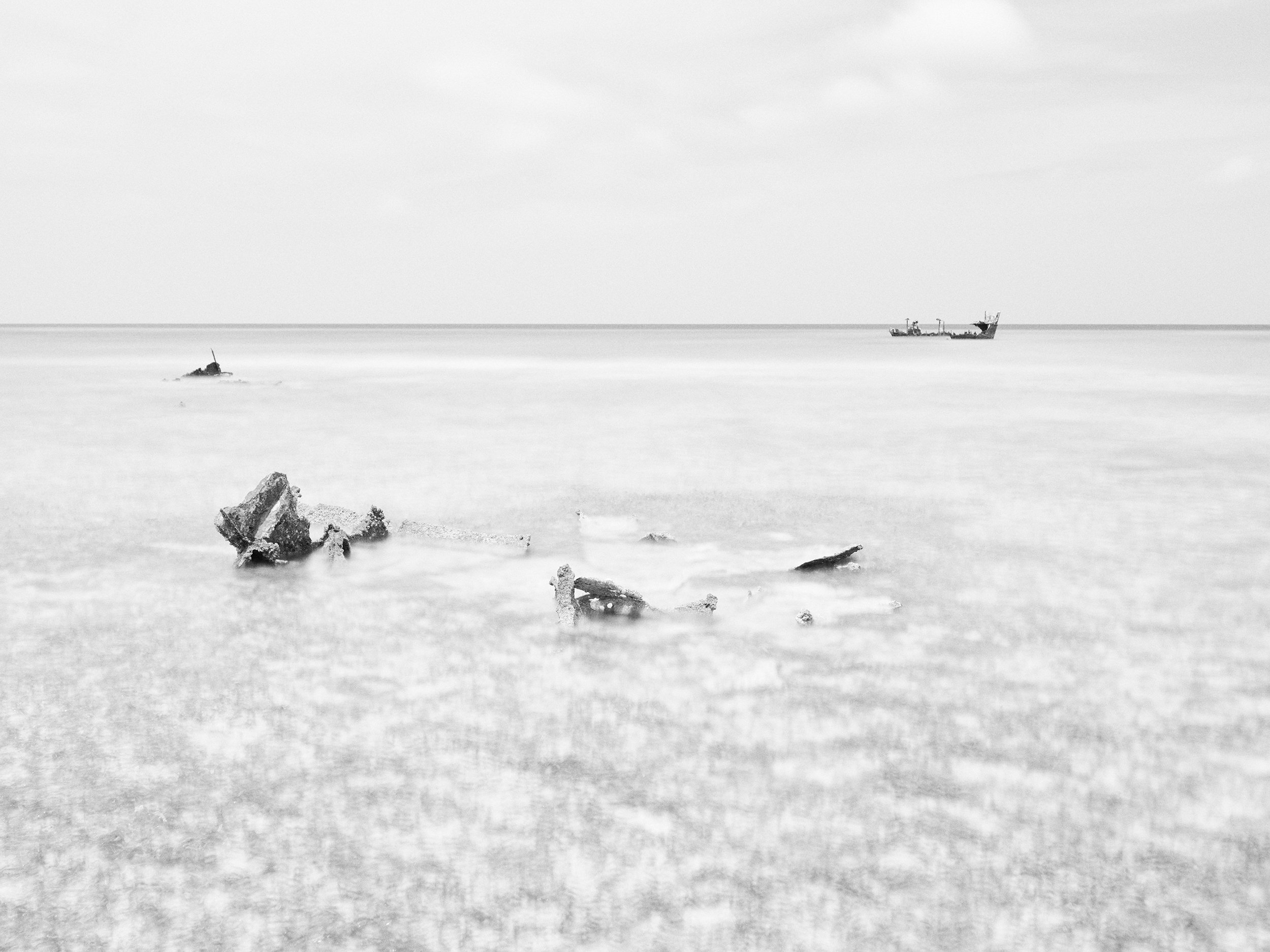 environmental landscape