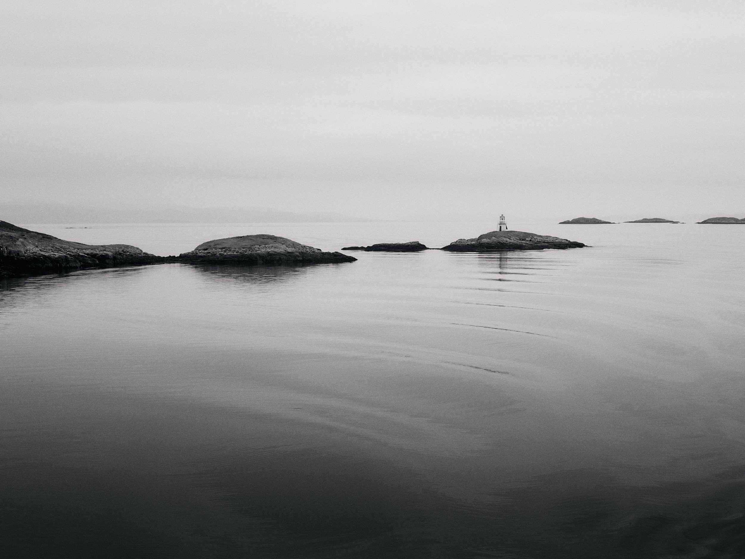 environmental landscape 