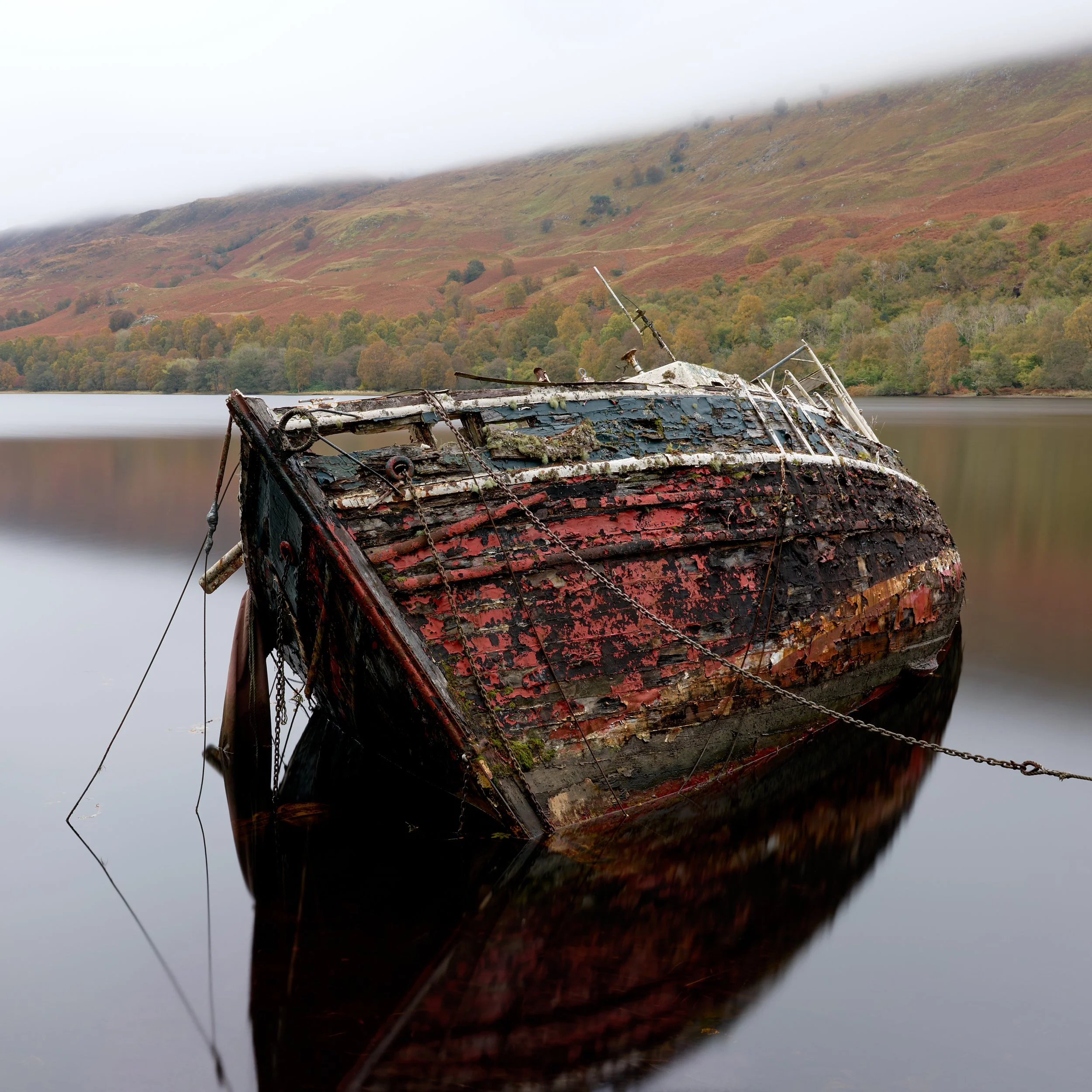 environmental landscape 