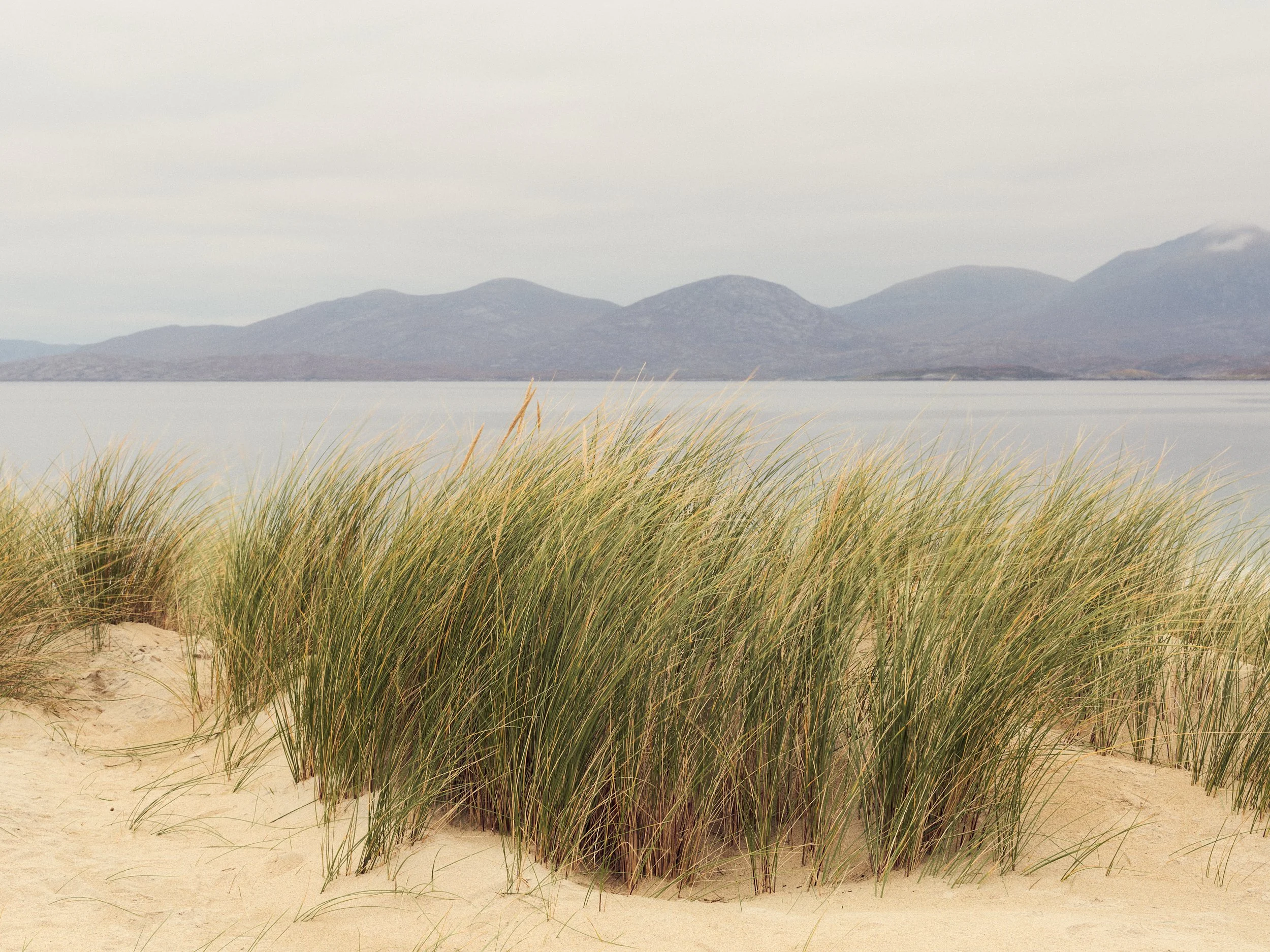 environmental landscape 