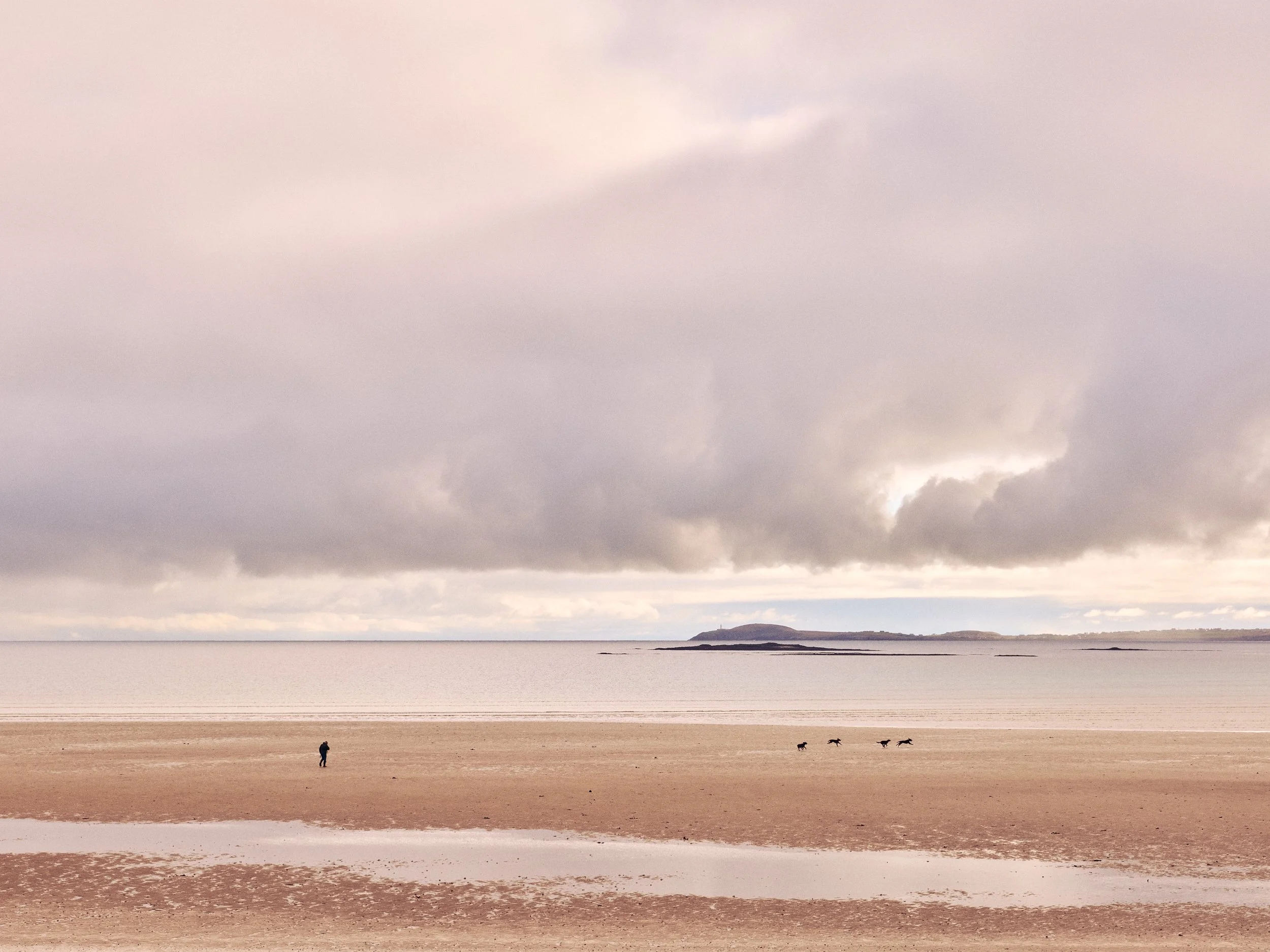 environmental landscape 
