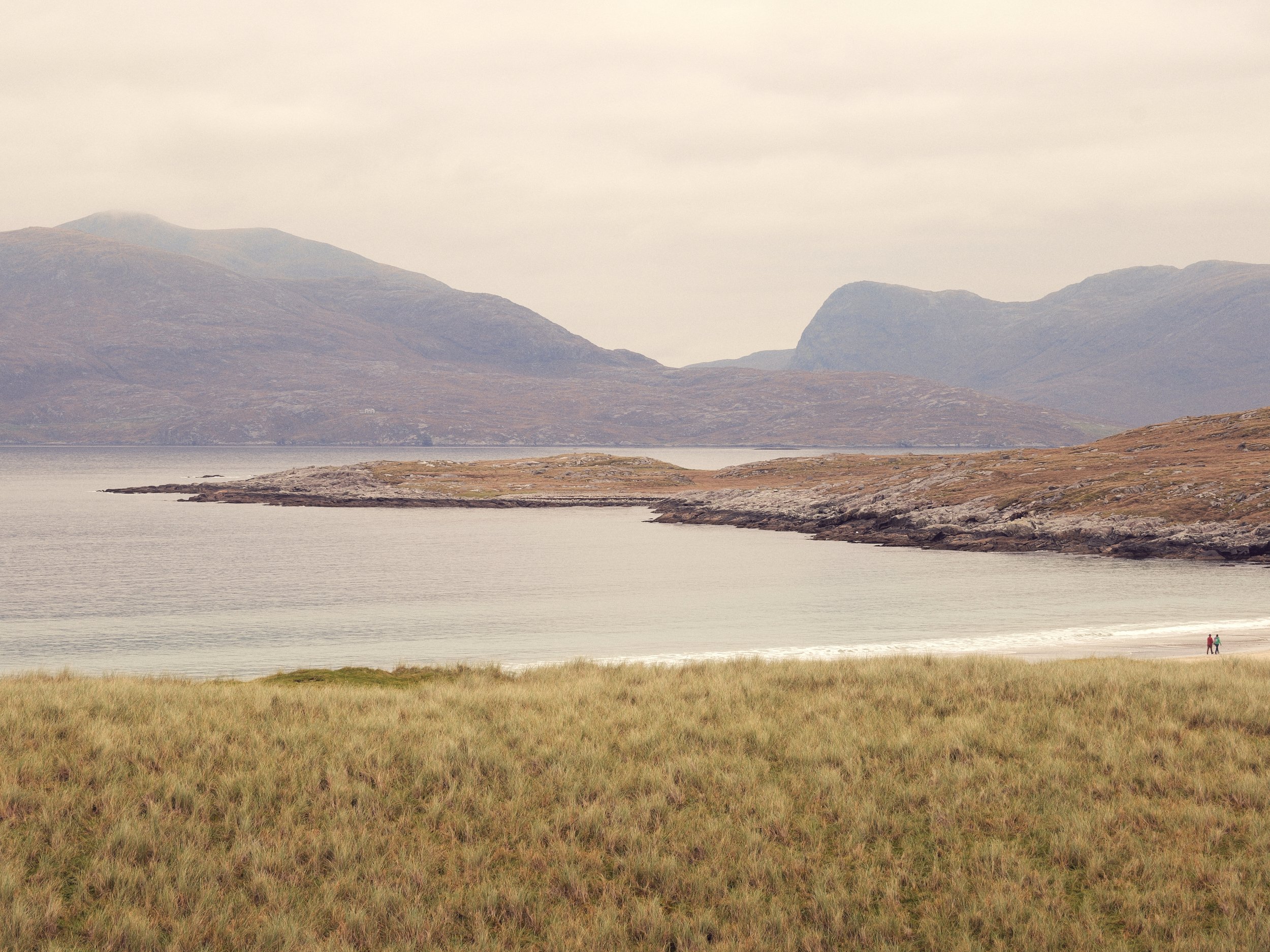 environmental landscape 