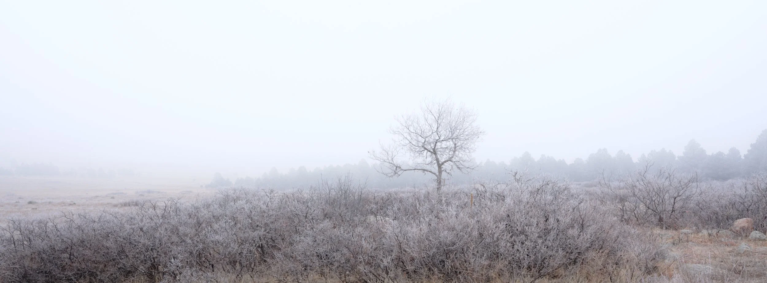 environmental landscape