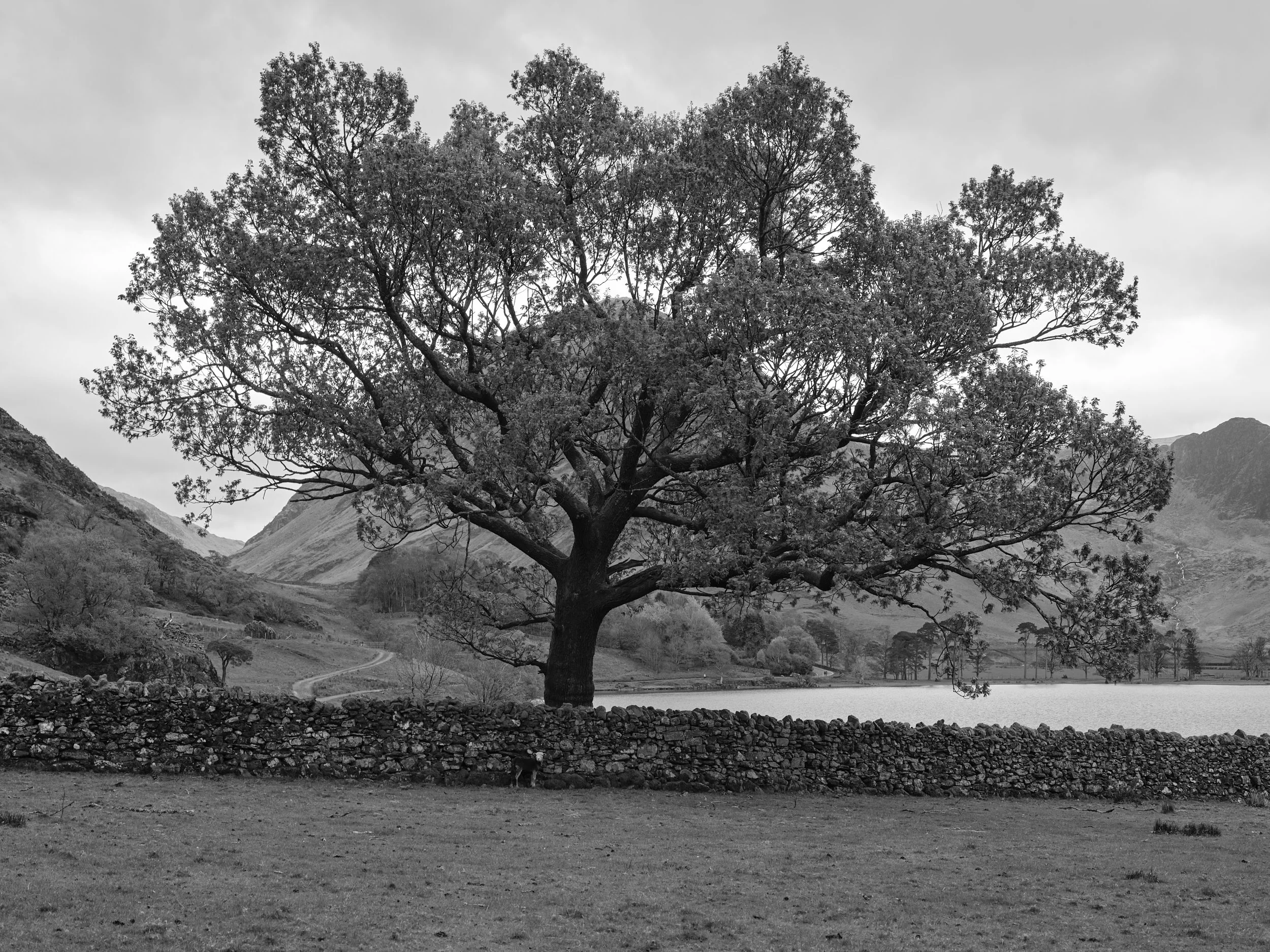 environmental landscape 
