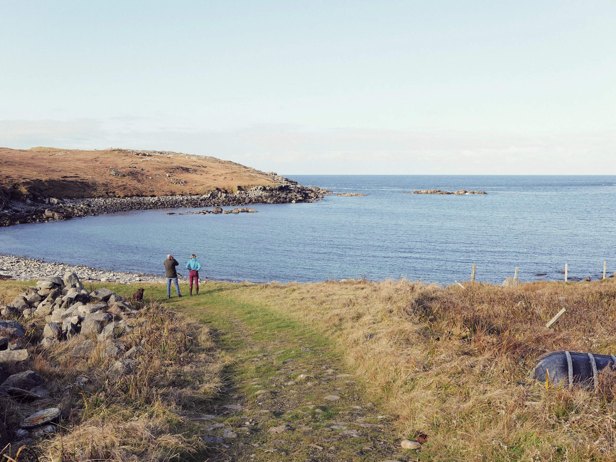 Environmental Landscape