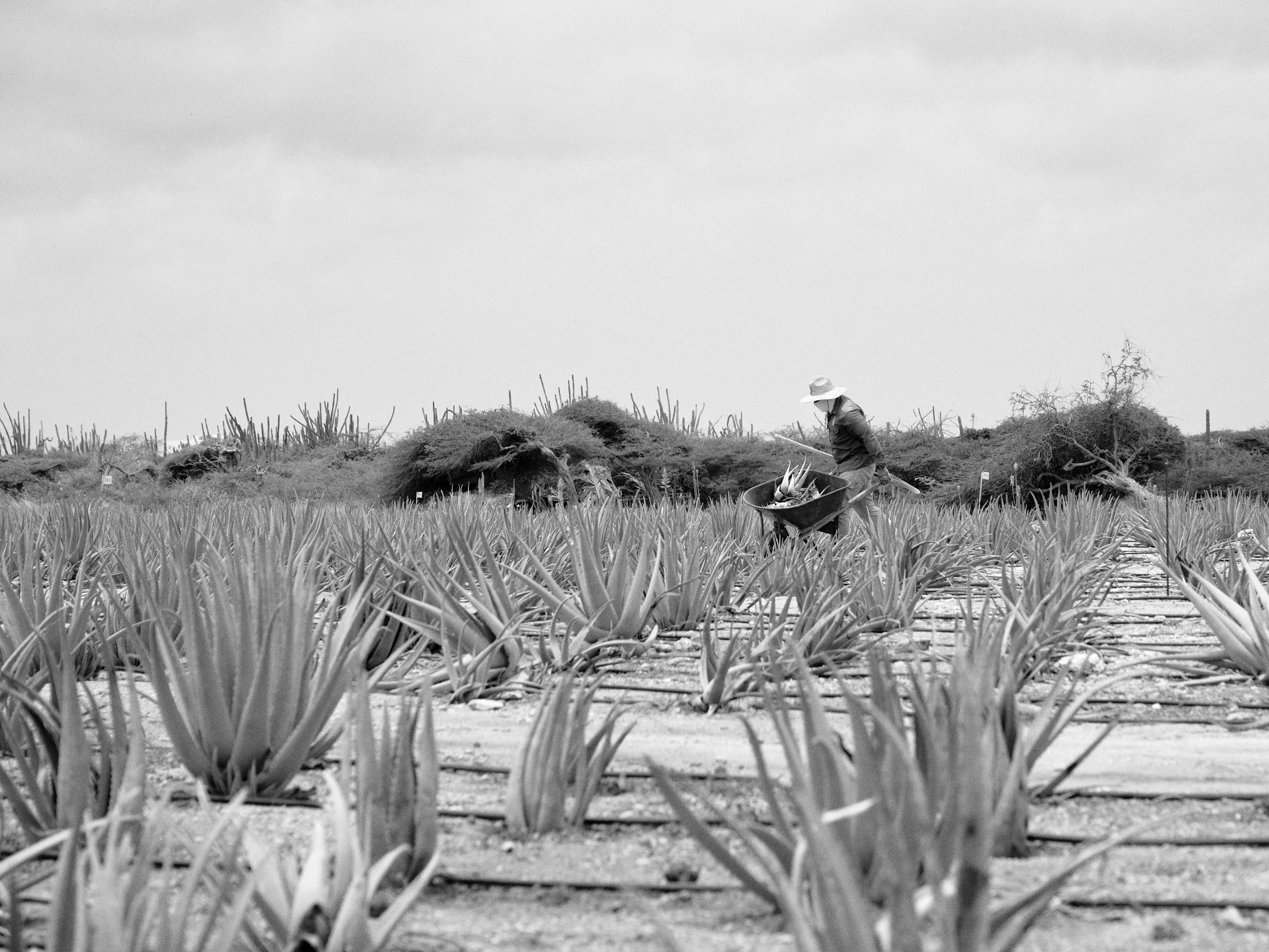 Workers