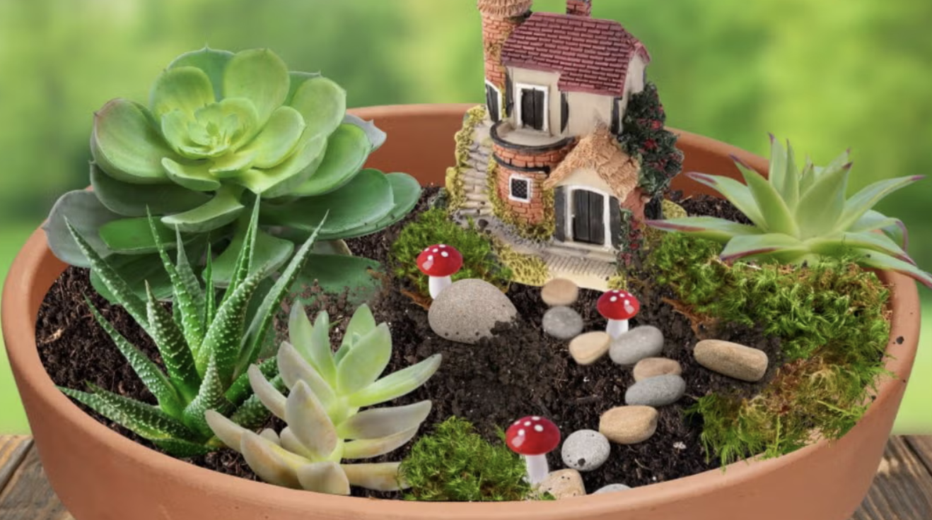 Fairy Garden Workshop