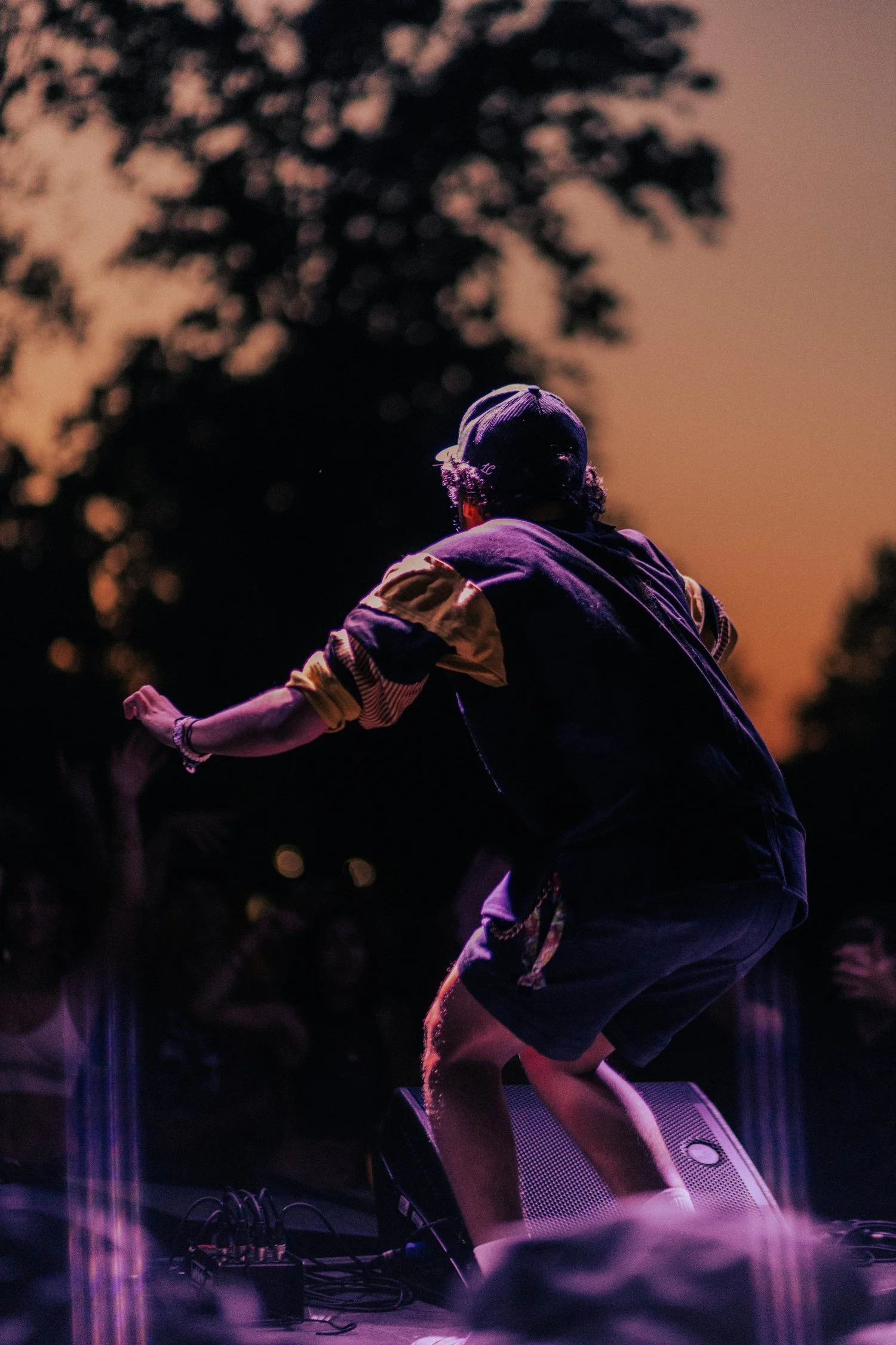 Raleighwood Festival