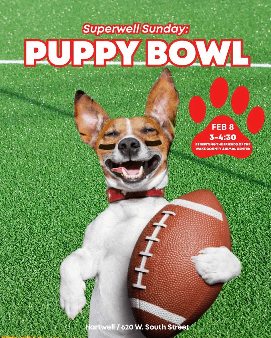 Puppy Bowl & Chili Cook-off