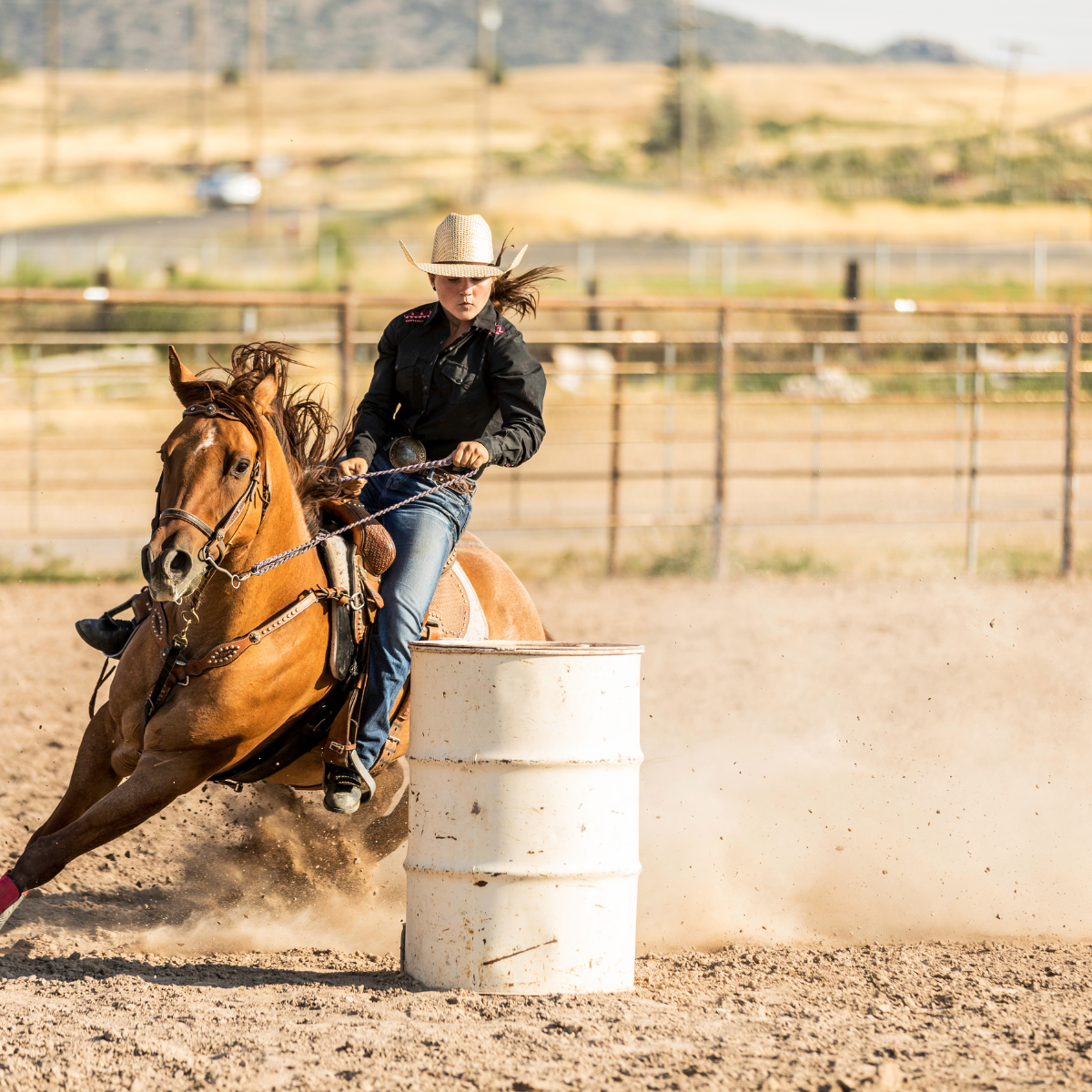 Untitled design (13).png