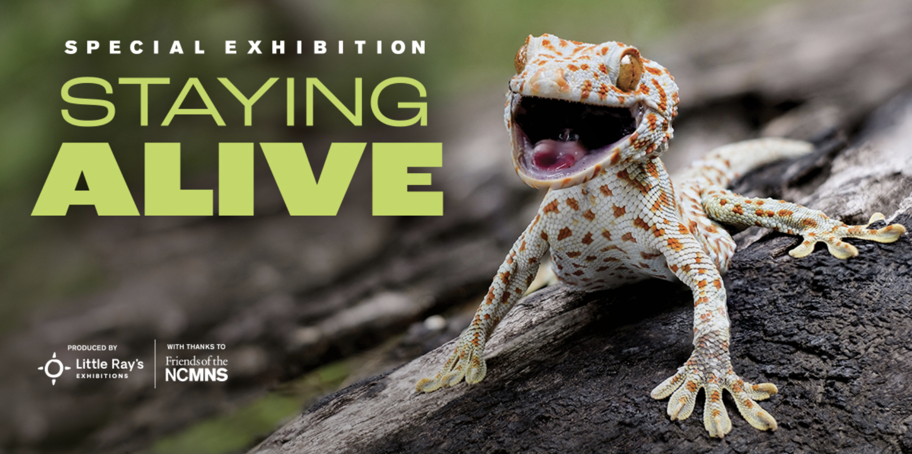 Staying Alive Special Exhibition