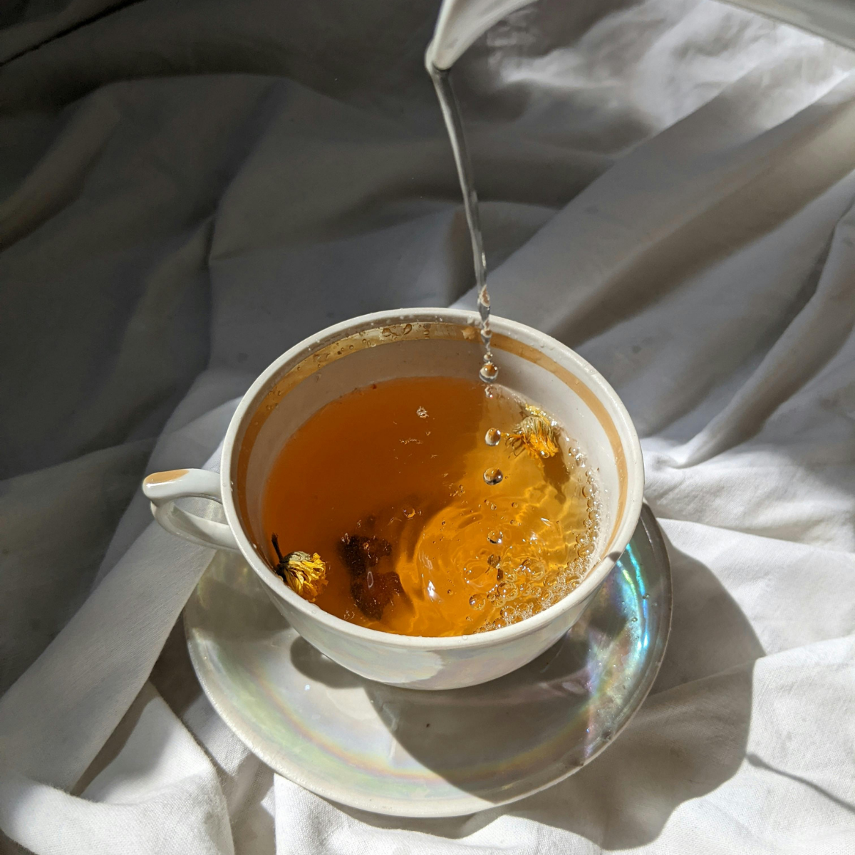 Untitled design (5).png