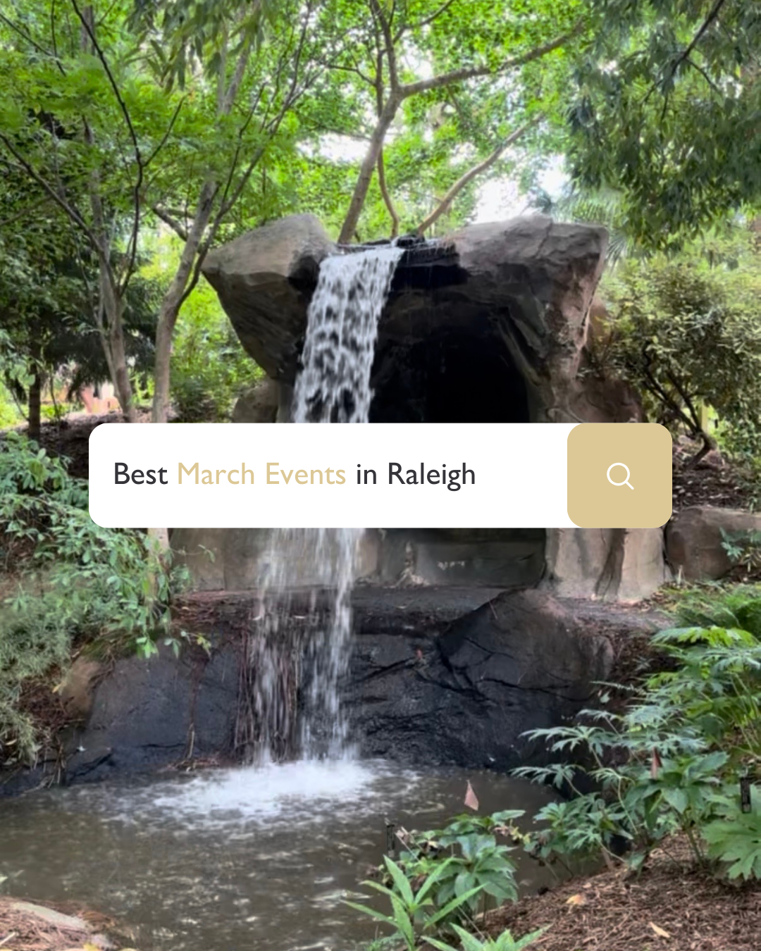 20+ Can’t-Miss Events Happening in Raleigh This March