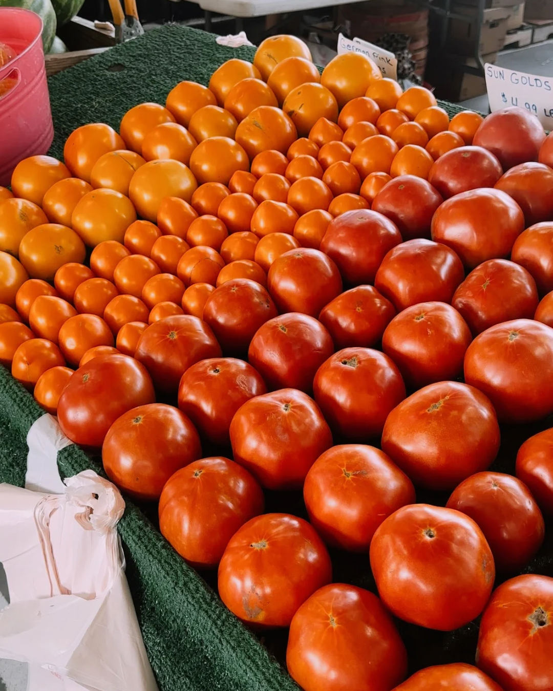 september photo dump - 11.PNG