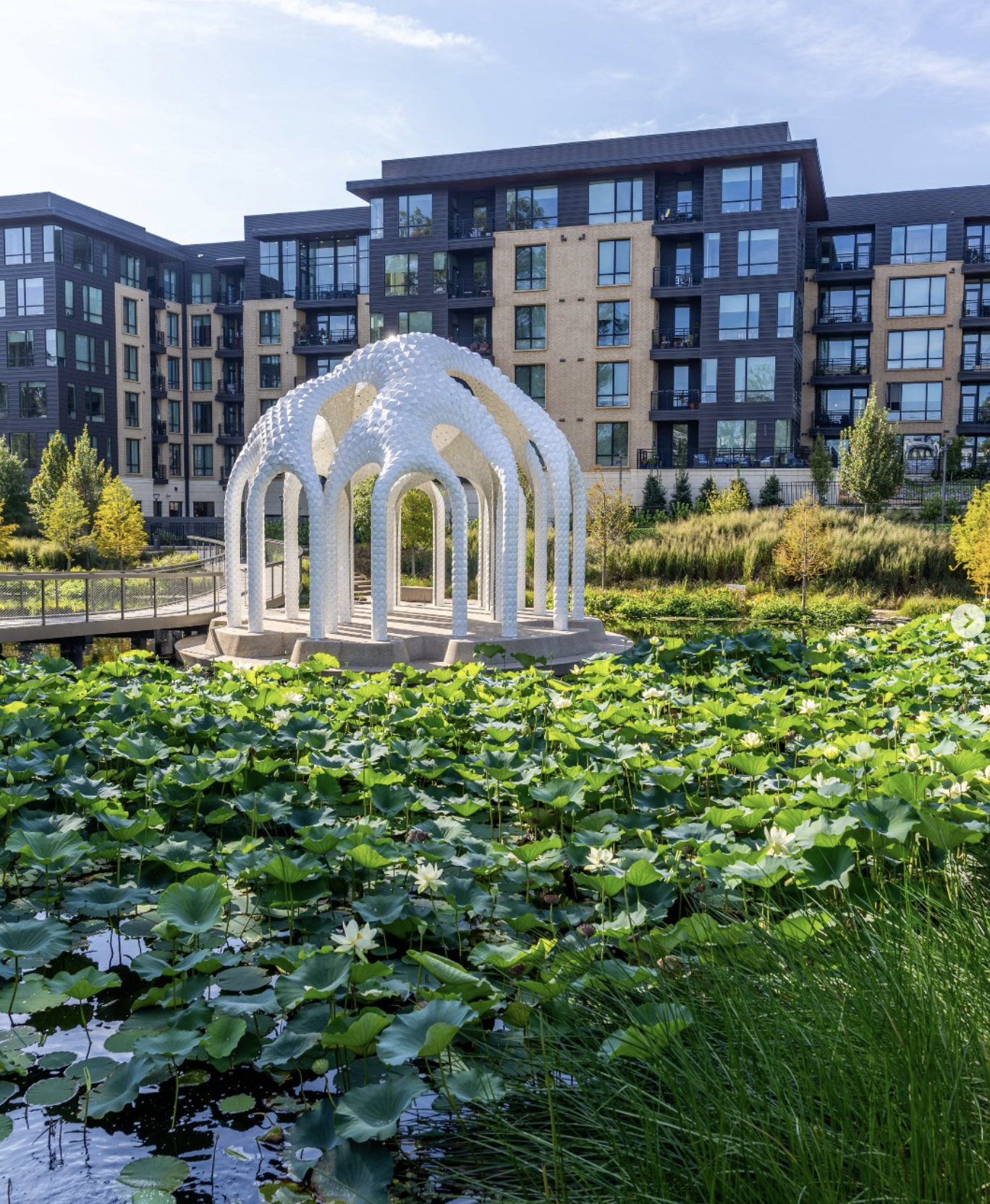 Screenshot 2026-03-20 at 5.02.15 PM.png