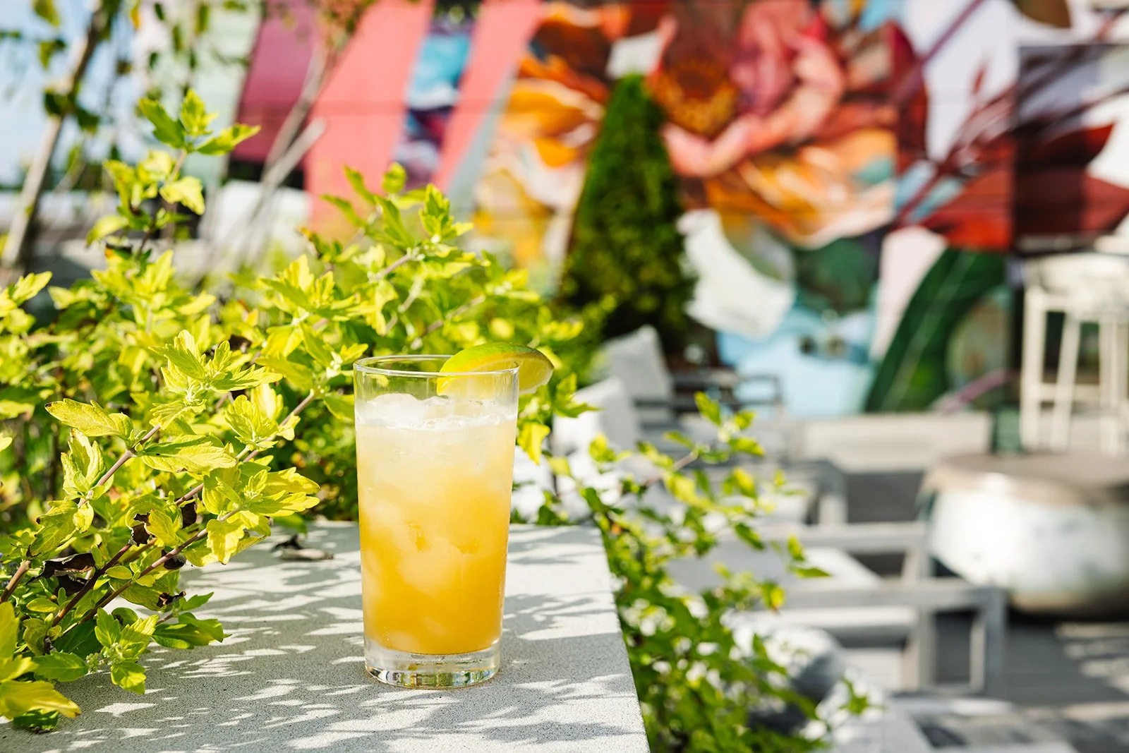 Cinco de Mayo on the Rooftop