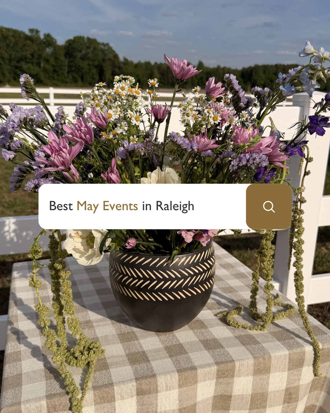 The Best Things to Do in Raleigh This May