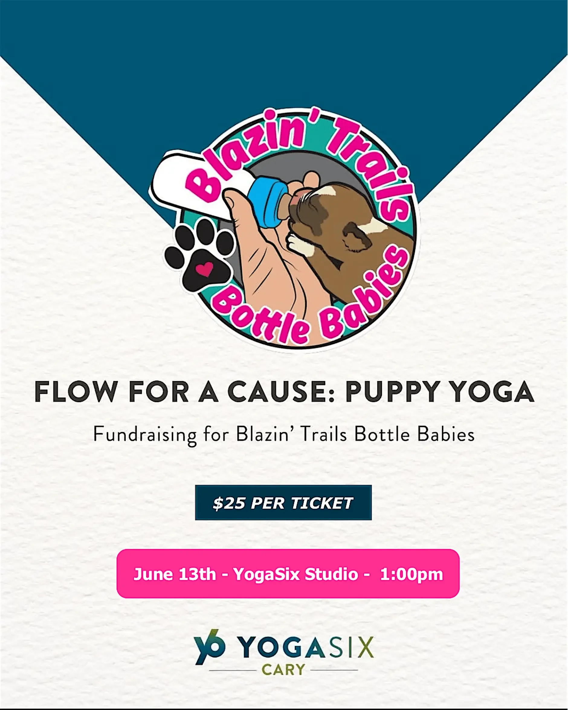 Flow for a Cause: Puppy Yoga 