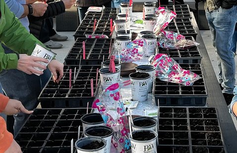 Fall into Gardening 