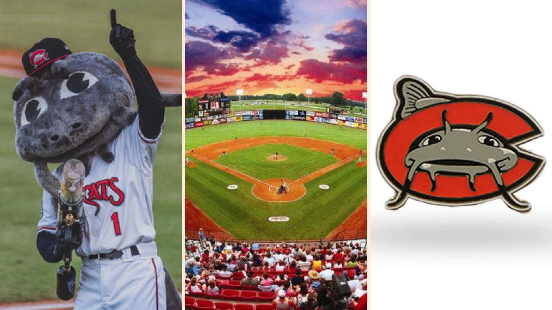Sports in Raleigh — Thriving in Raleigh