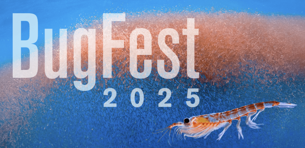 BugFest 2026 — Thriving in Raleigh