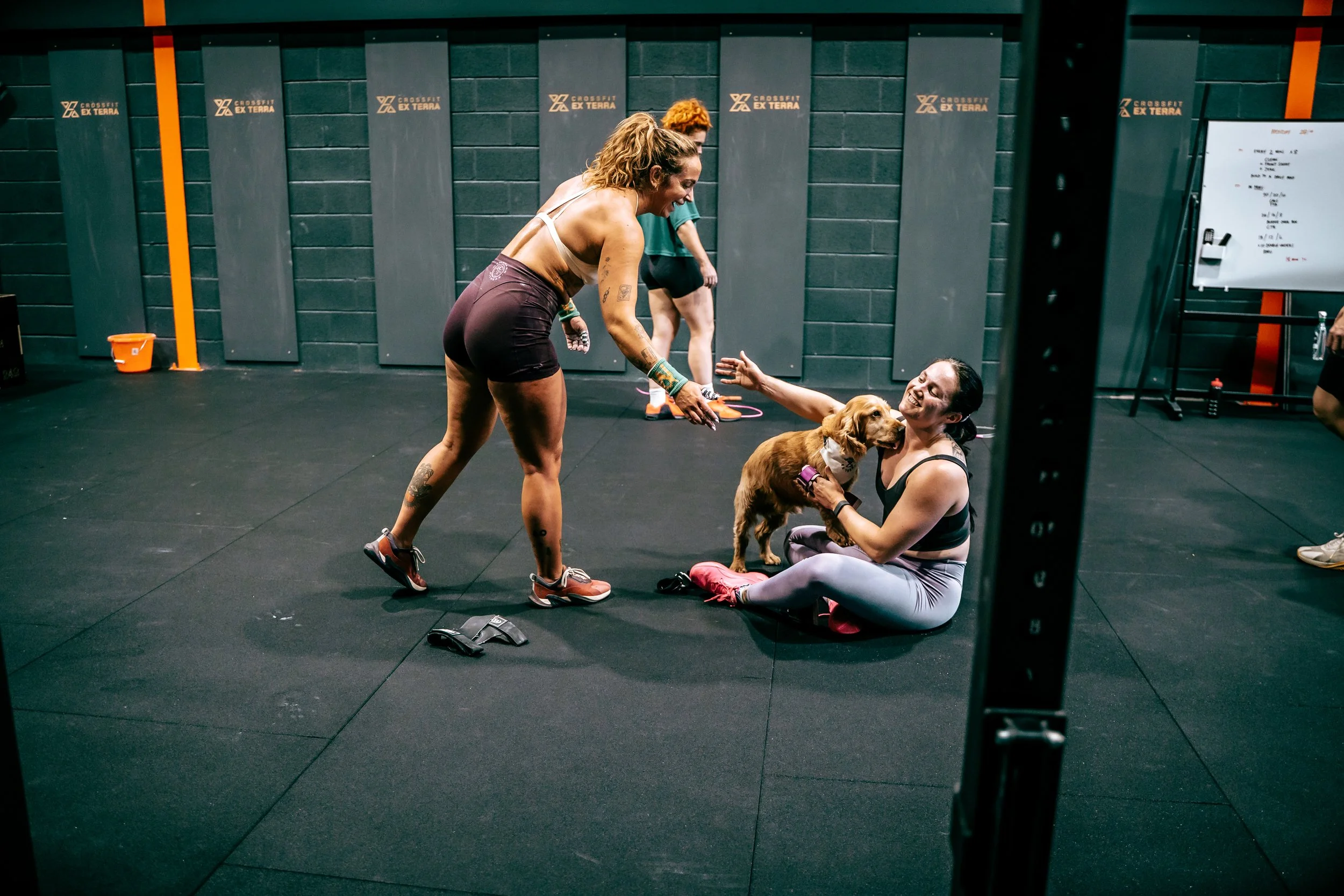 Two members sharing a laugh with a dog after a CrossFit class in St Helens