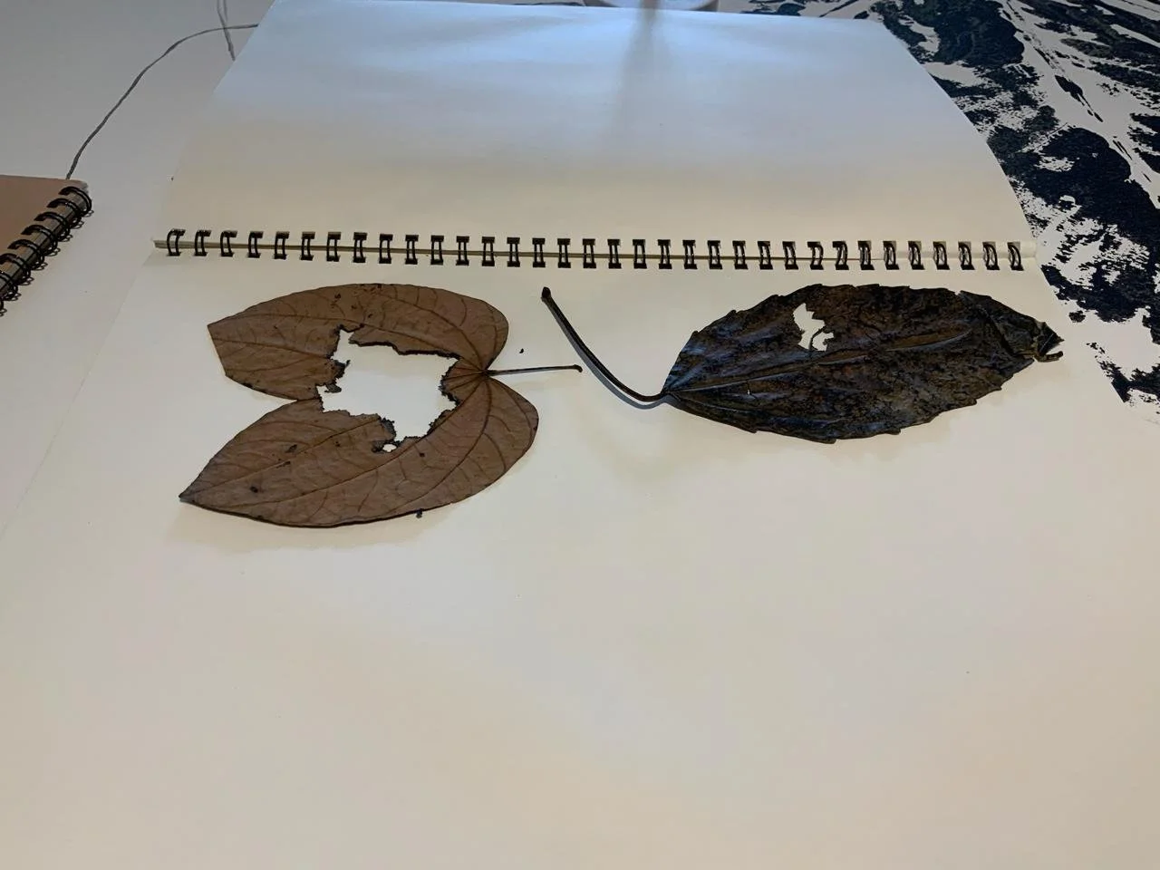 PHOTO-2025-12-03-14-32-32 21.jpg