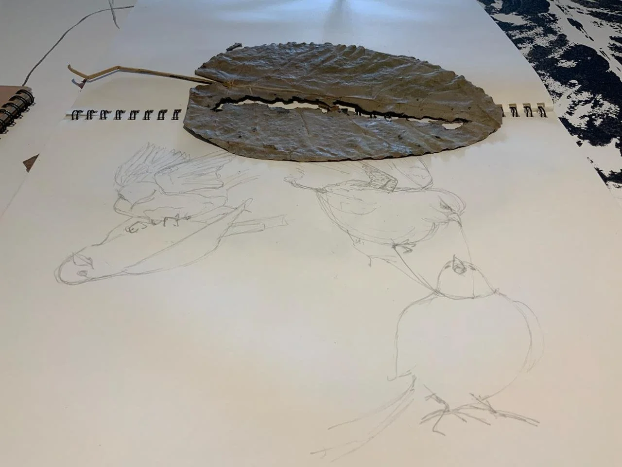 PHOTO-2025-12-03-14-32-32 17.jpg