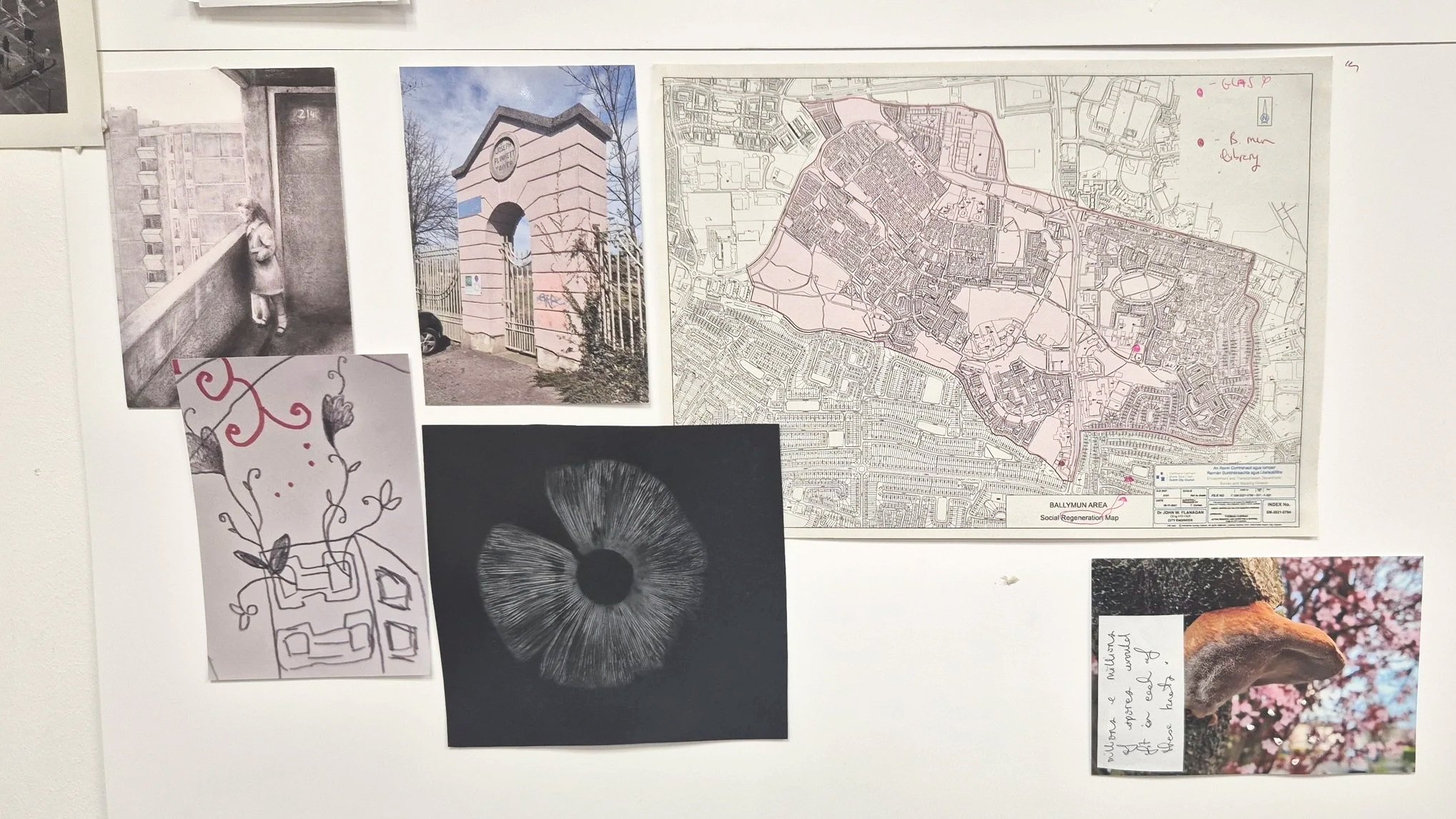 Visually mapping ideas, spore prints, mushroom locations, and other aspects of early research on my studio wall 