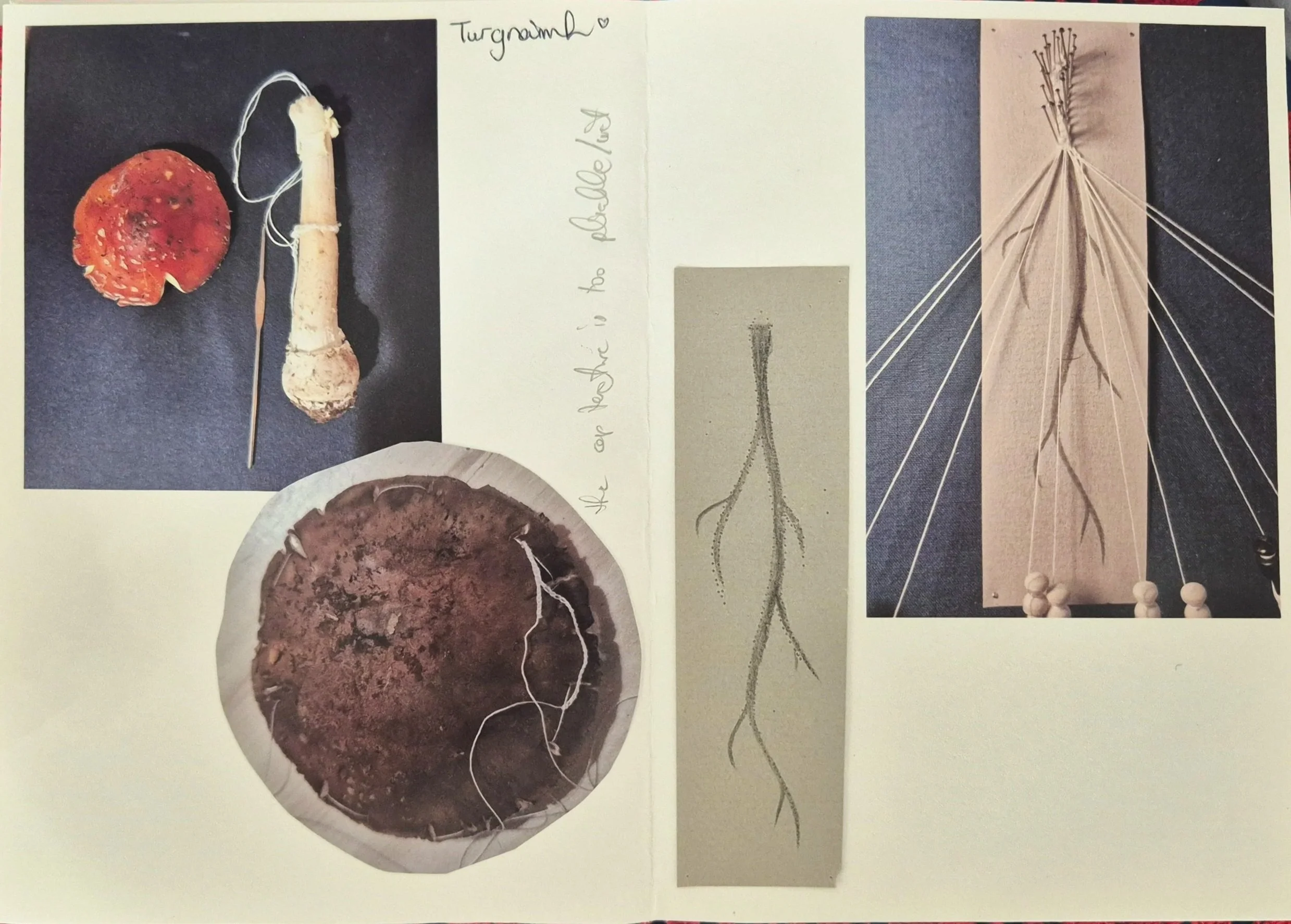 Mini-zine folded from an A2 page documenting experiments including bobbin lace prickings