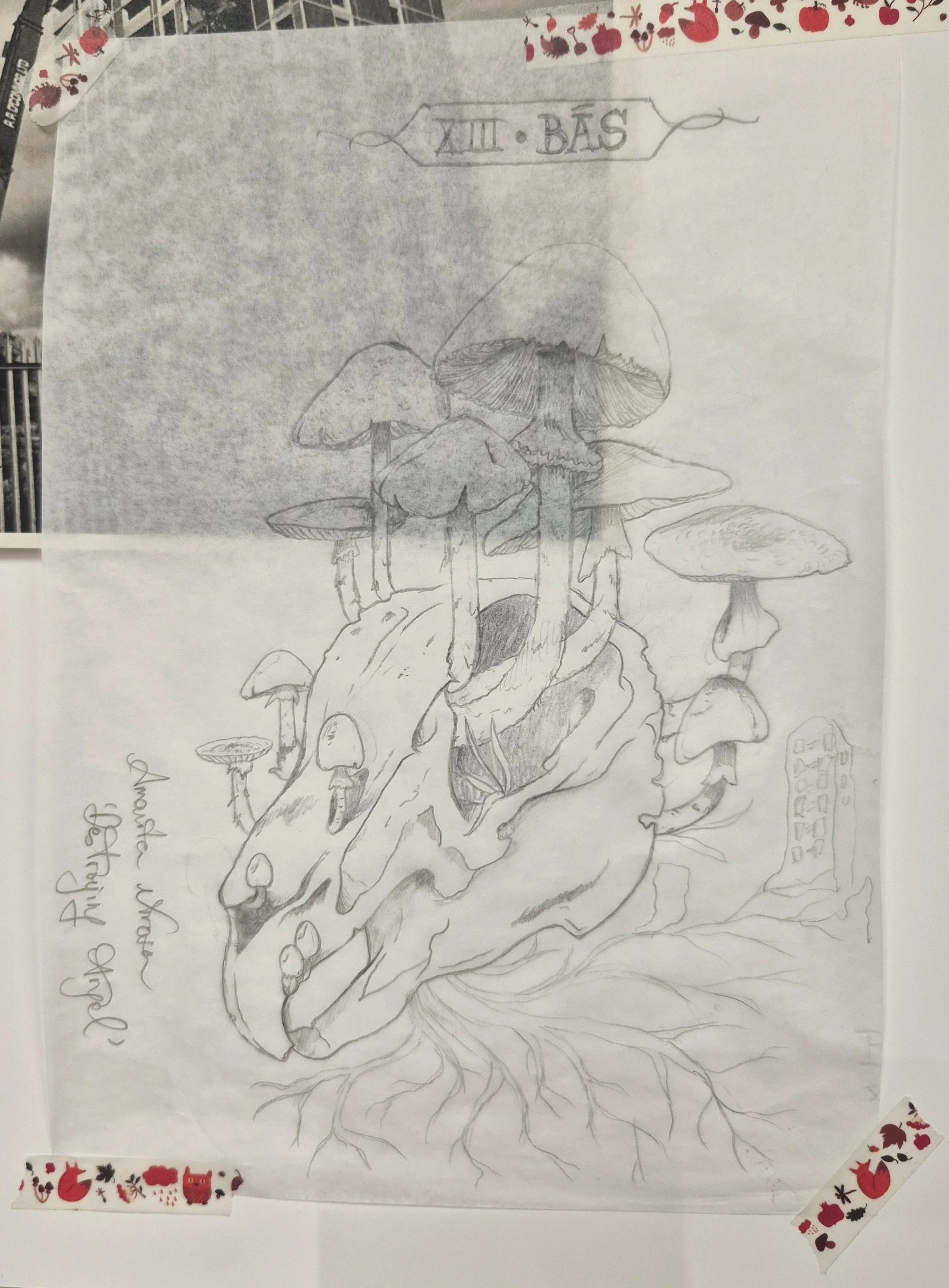 Sketch of a "Death" tarot card based on this project - 13 amanita virosa mushrooms emerging from the skull of a megafauna-era hare - the mycelial roots are producing the seven towers. The Death card indicates rebirth, growth from decay, and inevitabl