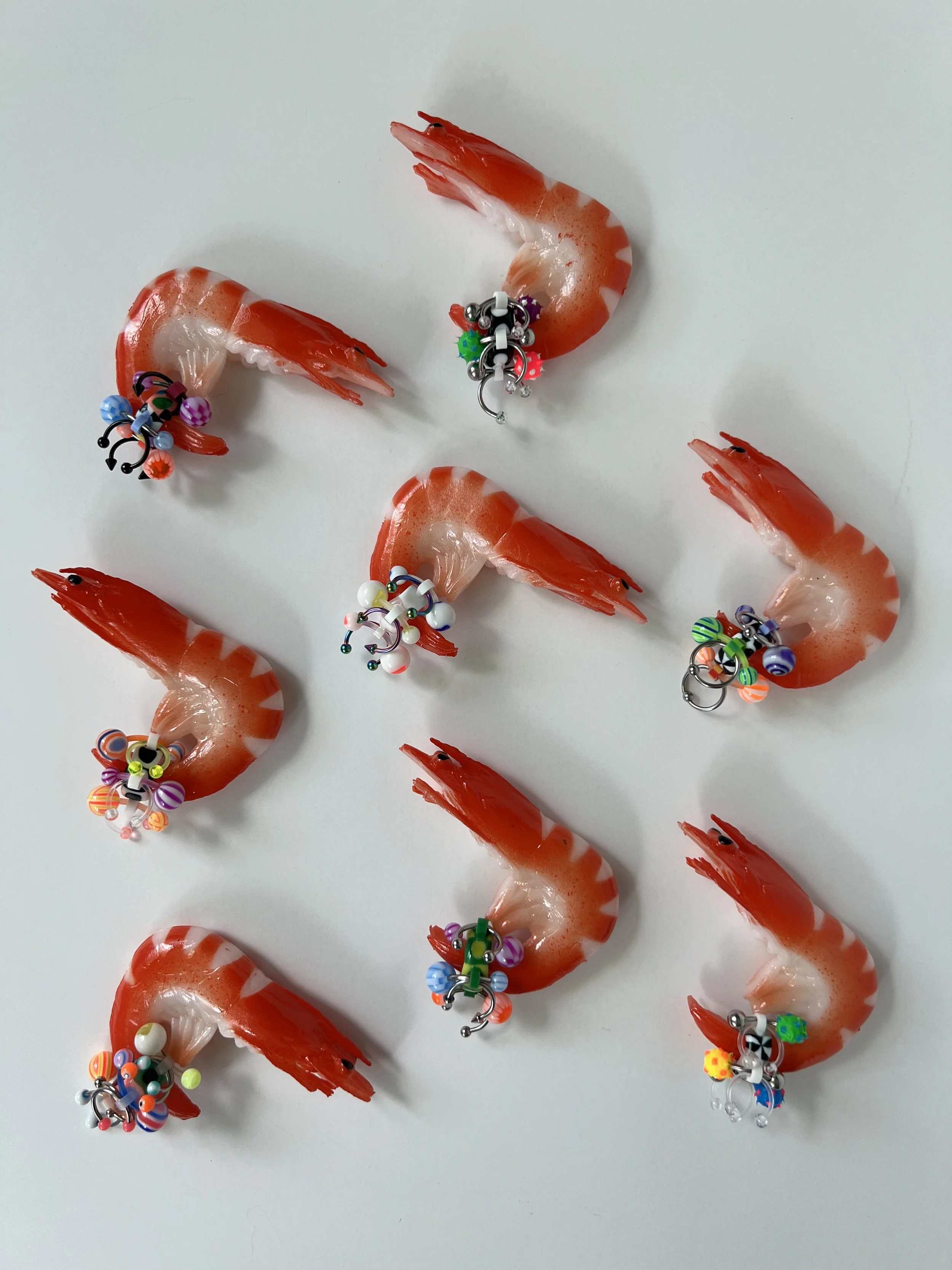 Seven cooked shrimp with jewelry on their shells, arranged on a white surface.