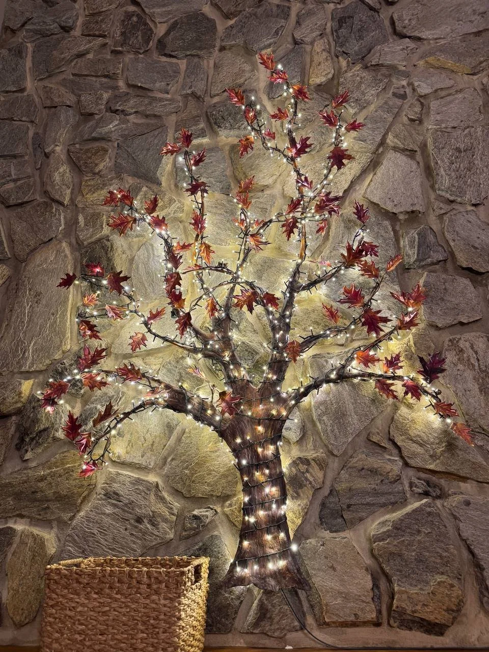 photo_2026-02-03 4.15.30 PM.jpeg