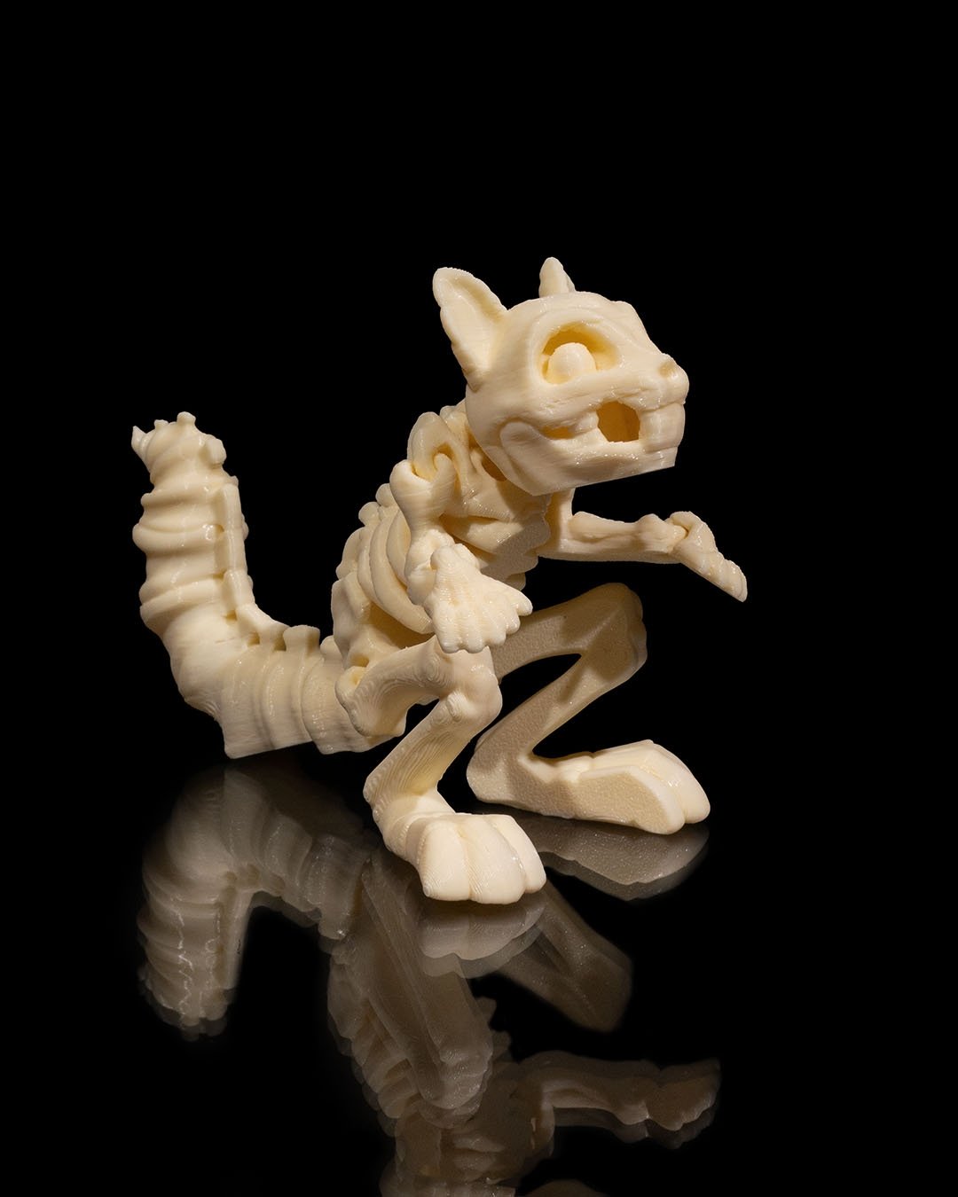 Skeleton_Squirrel1_511e89a22d.jpg