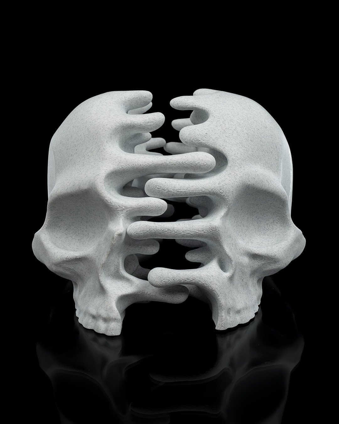 RI_Pped_skull_8_cd7b4923a9.jpg