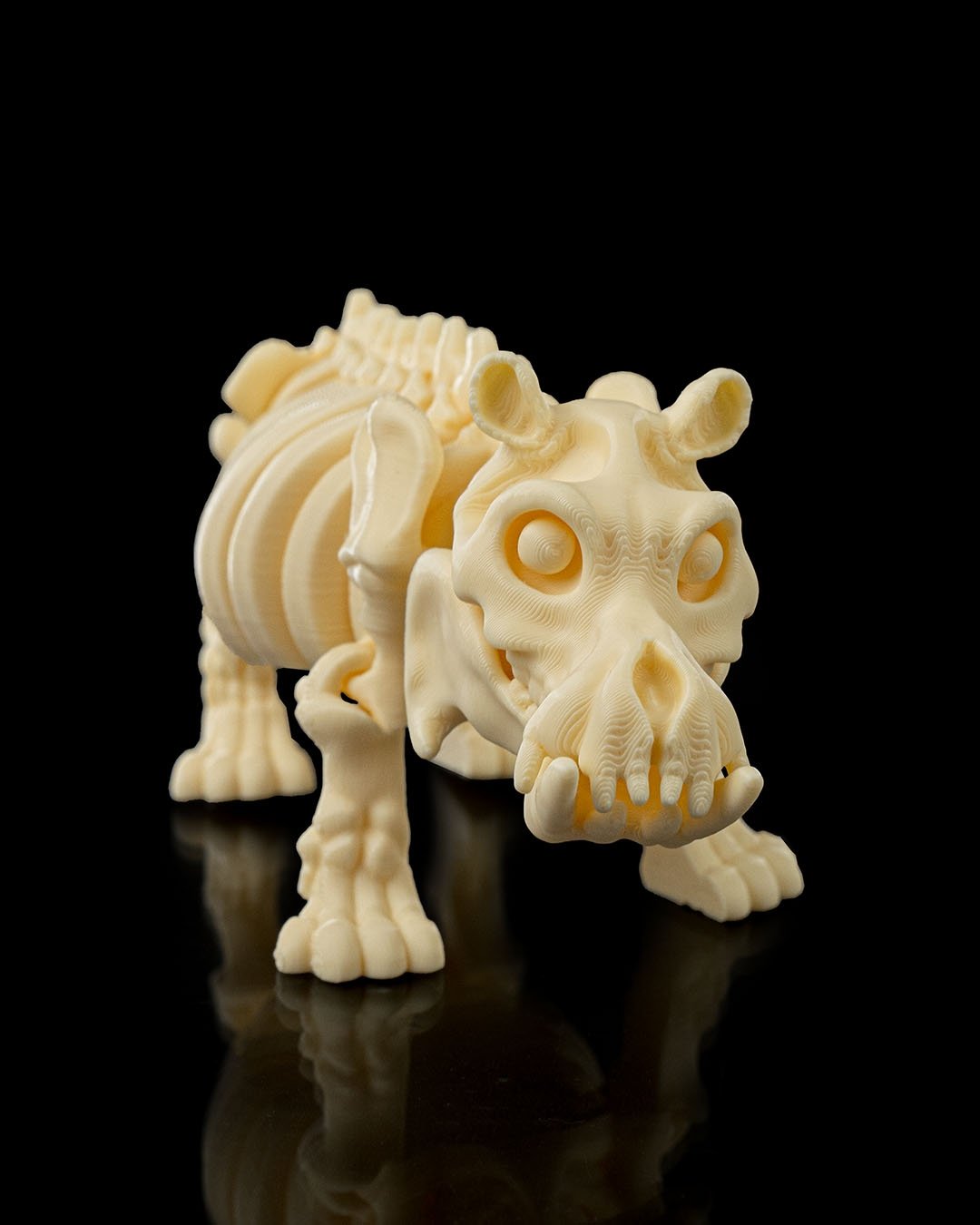 Skeleton_Hippo1_f1a1e25d91.jpg