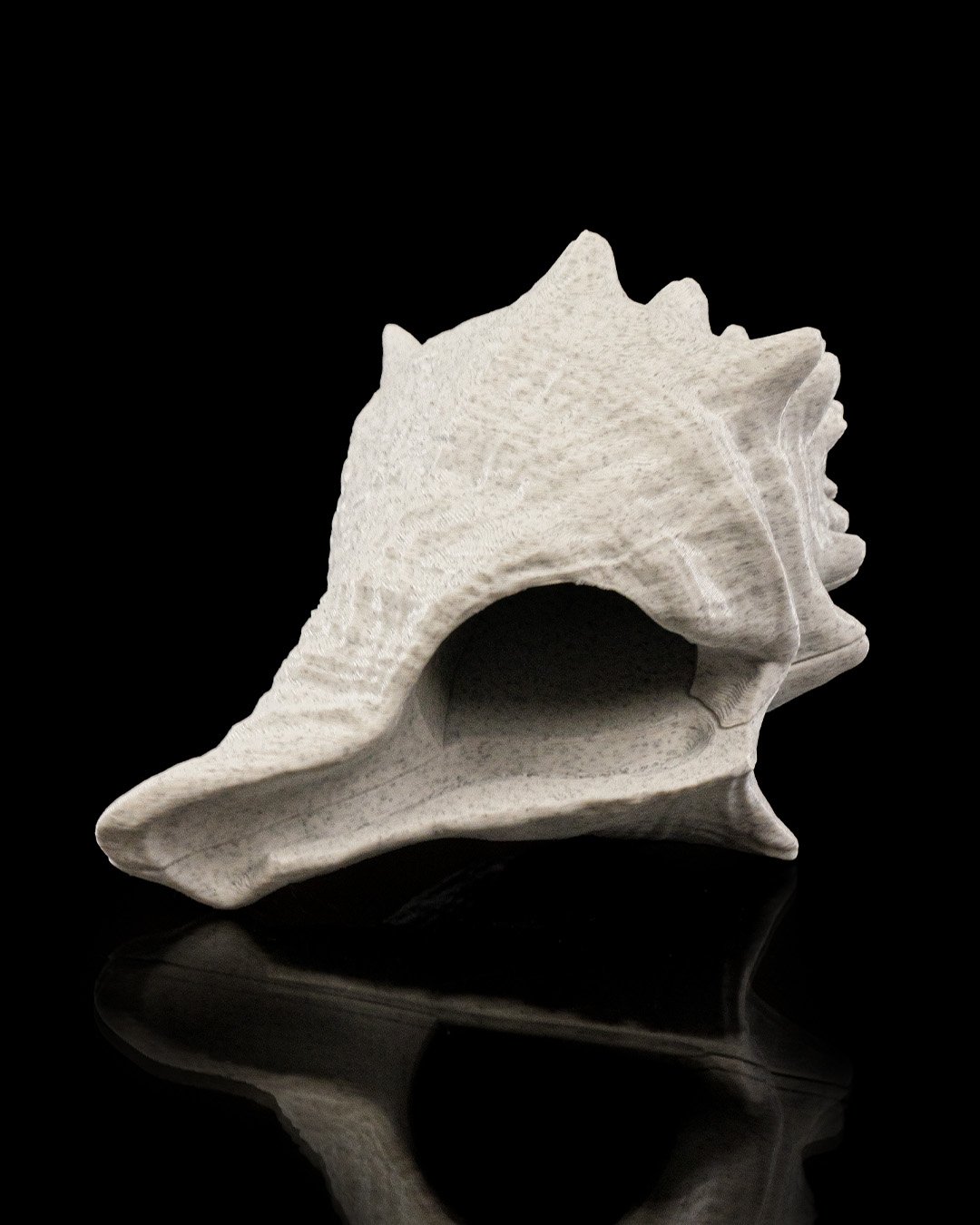 8_1ab94d4d07.jpg