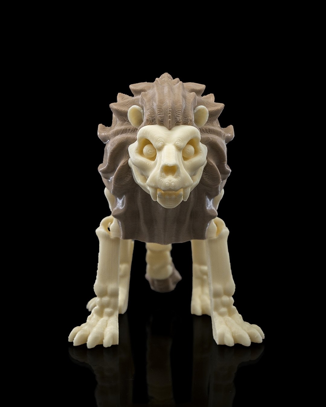 Skeleton_Lion_1_a4d571a83d.jpg