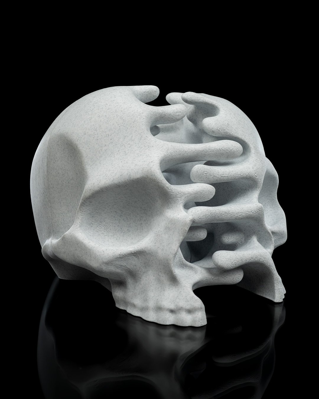 RI_Pped_skull_9_eb6820b4aa.jpg
