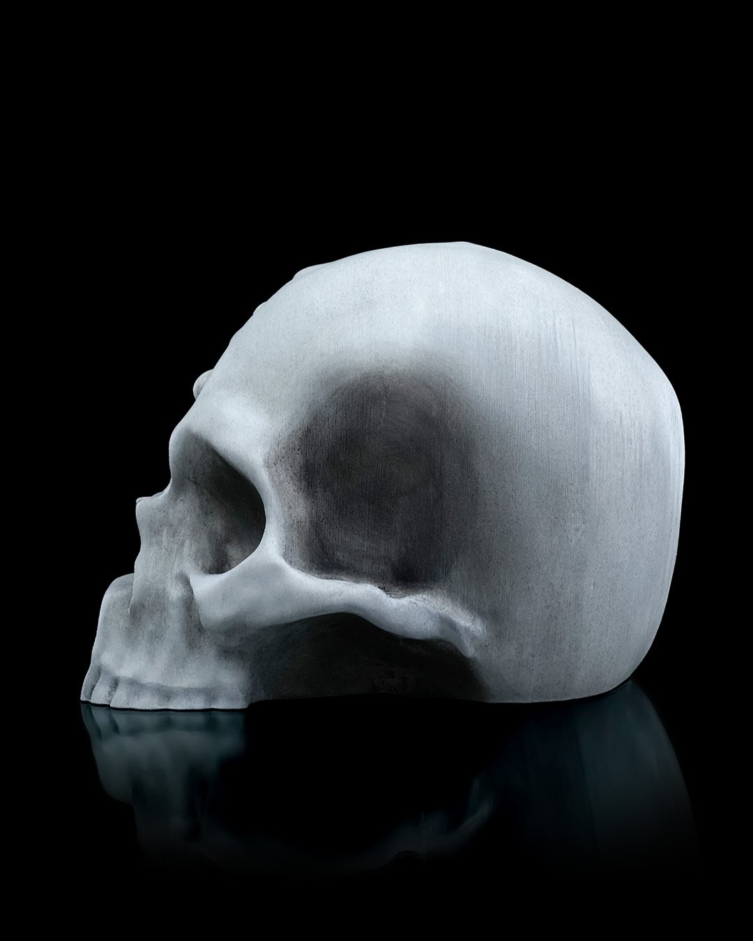 RI_Pped_skull_3_4854a17a4f.jpg