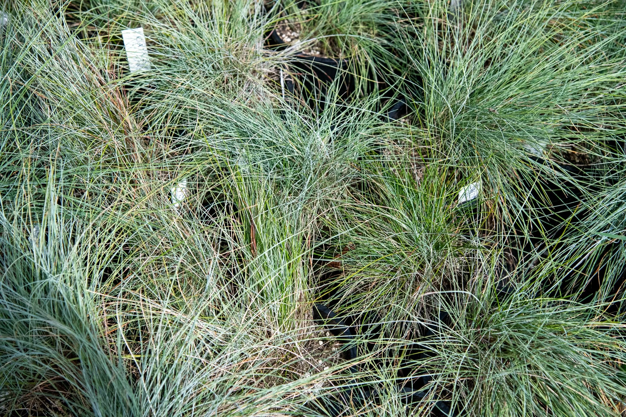 DBR_2207.jpg