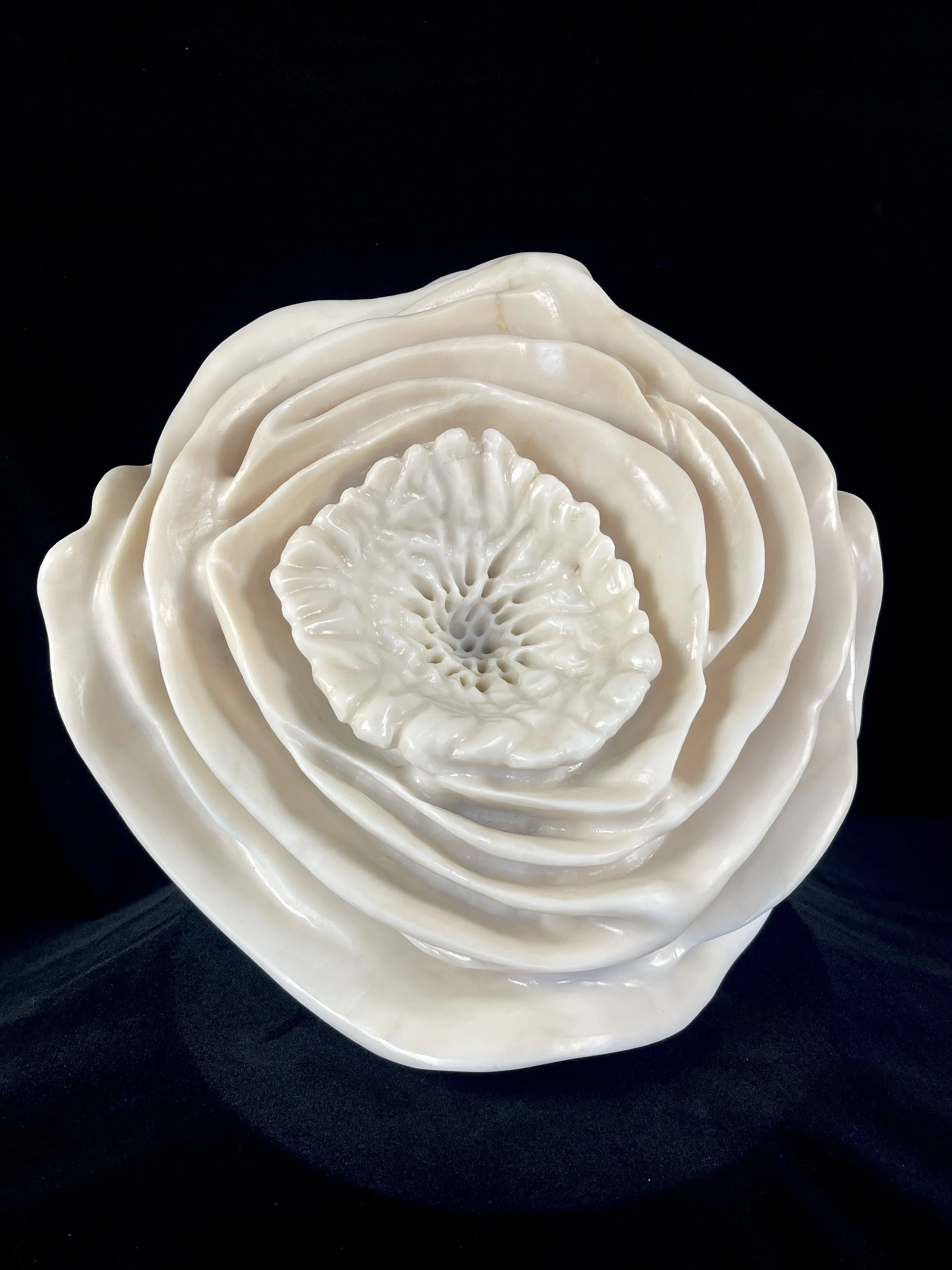 "Bloom" 2026 15" x 8" Marble
