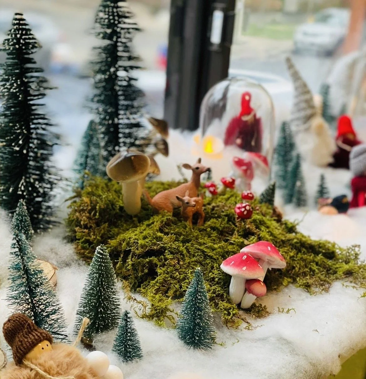 Windows into Waldorf Nov 29, 2024