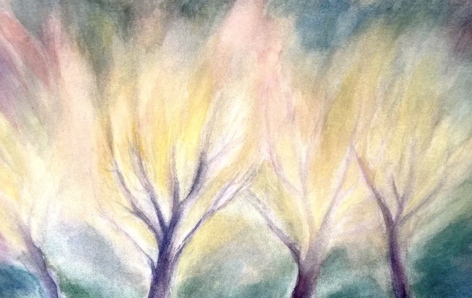 Windows into Waldorf Nov 22, 2024